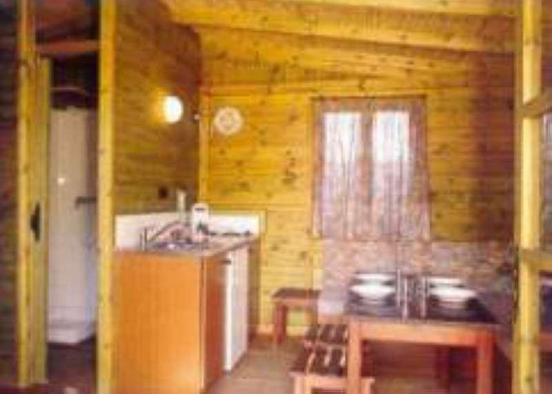 Camping Torre de la Mora — photo 5