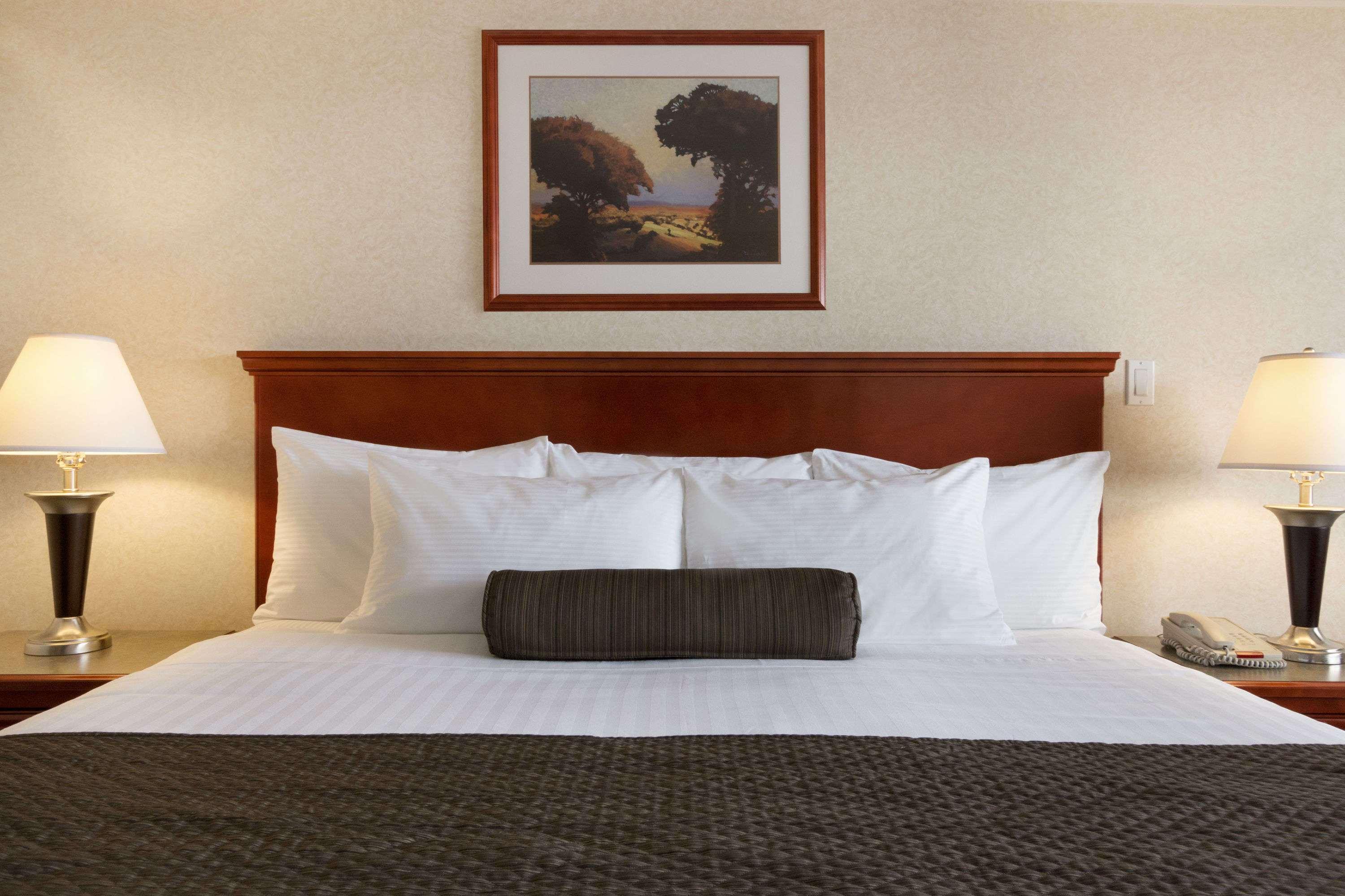 Days Inn & Suites - Langley — photo 5