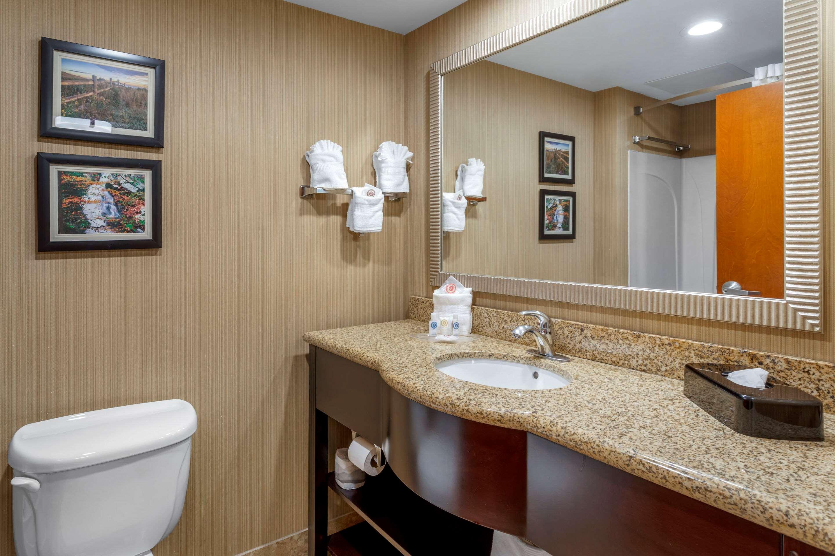 Comfort Suites North — photo 4