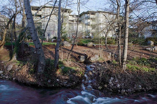 Plaza Inn & Suites at Ashland Creek — photo 3