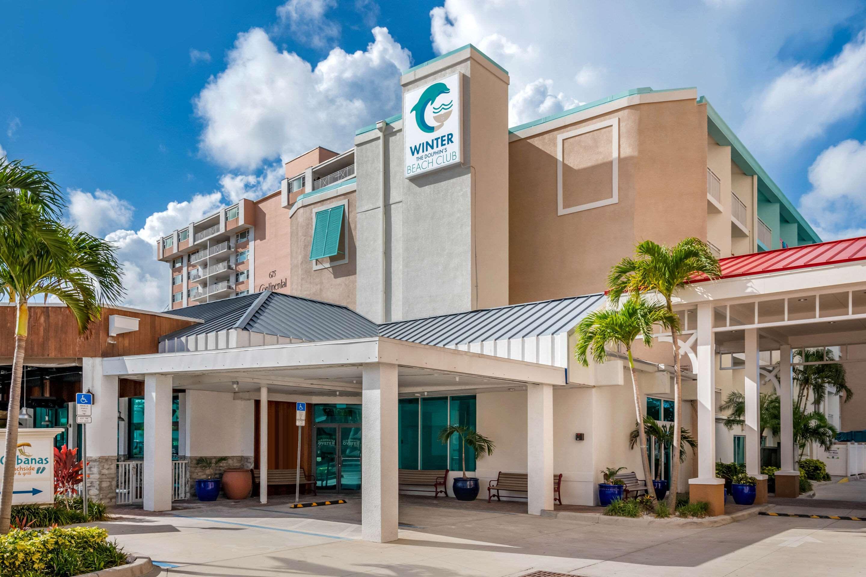 Winter The Dolphin's Beach Club, Ascend Hotel Collection — photo 5