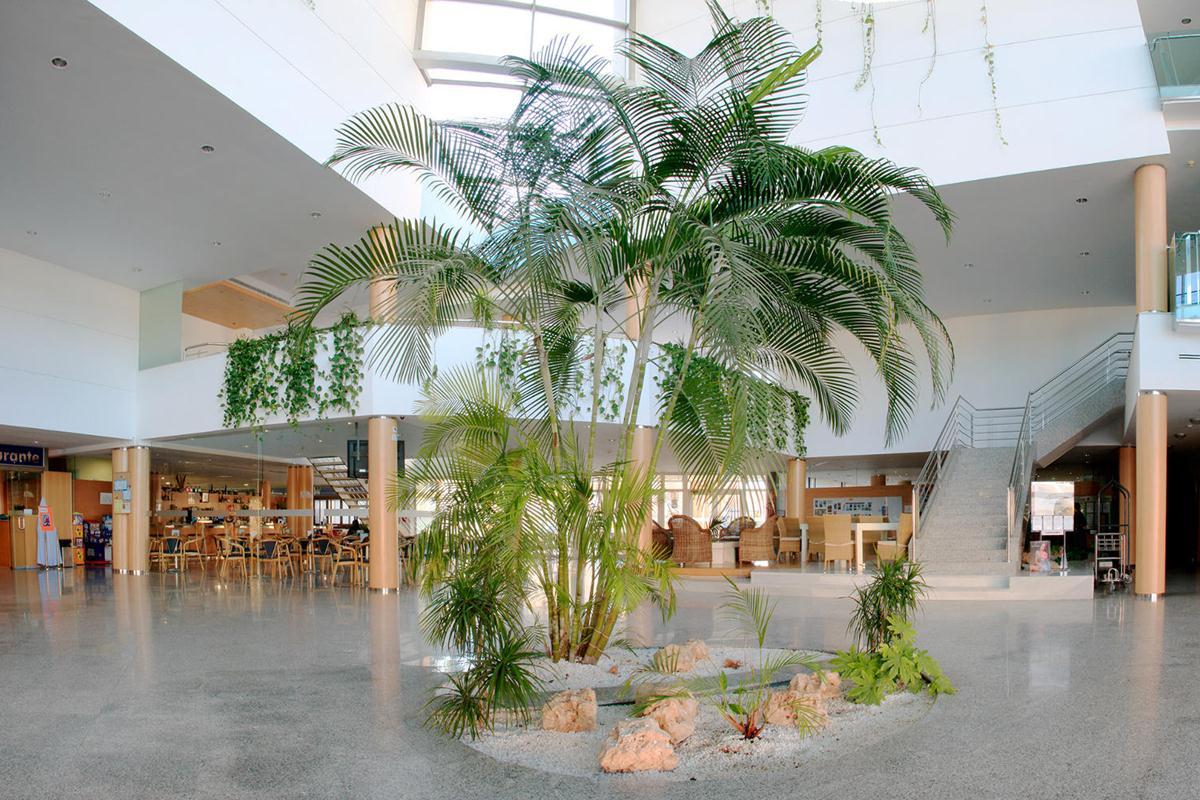 Hotel Neptuno — photo 5