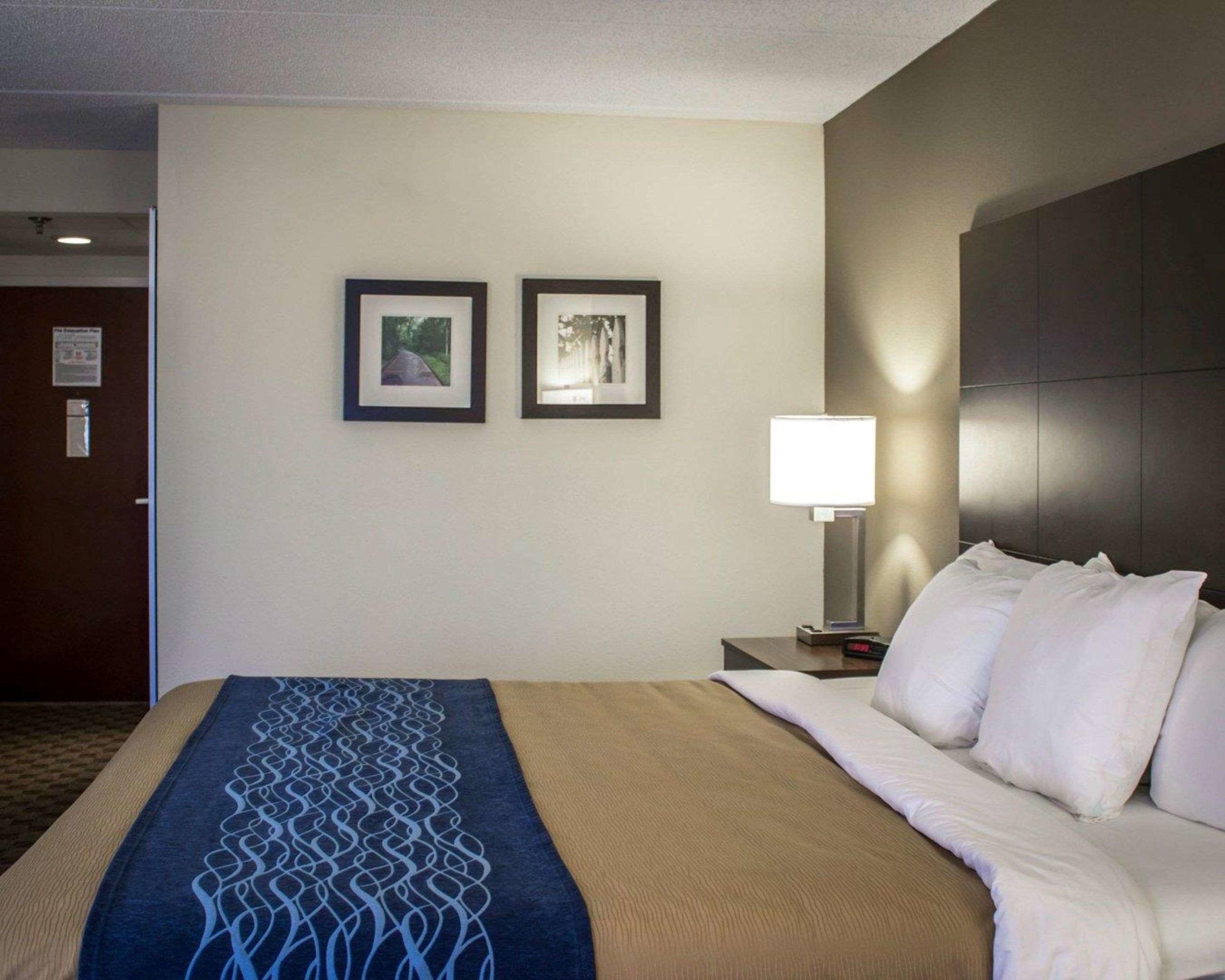 Comfort Inn — photo 5