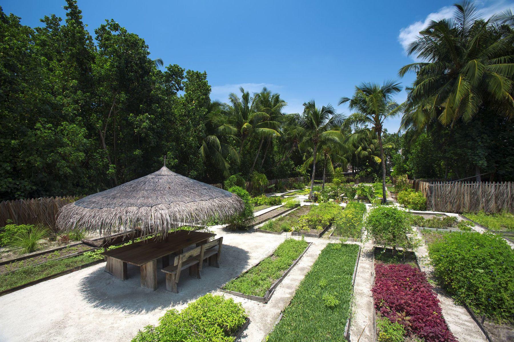 Gili Lankanfushi — photo 4
