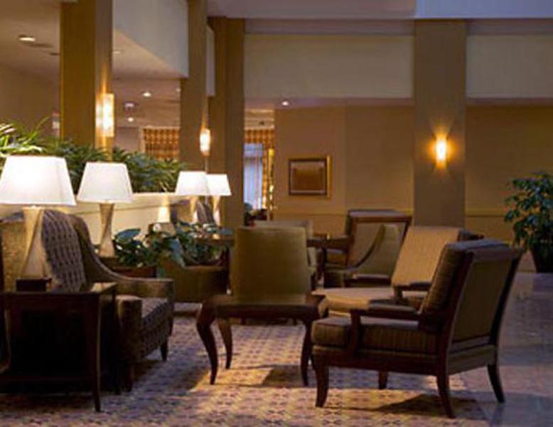 Sheraton Chicago O'Hare Airport Hotel — photo 3