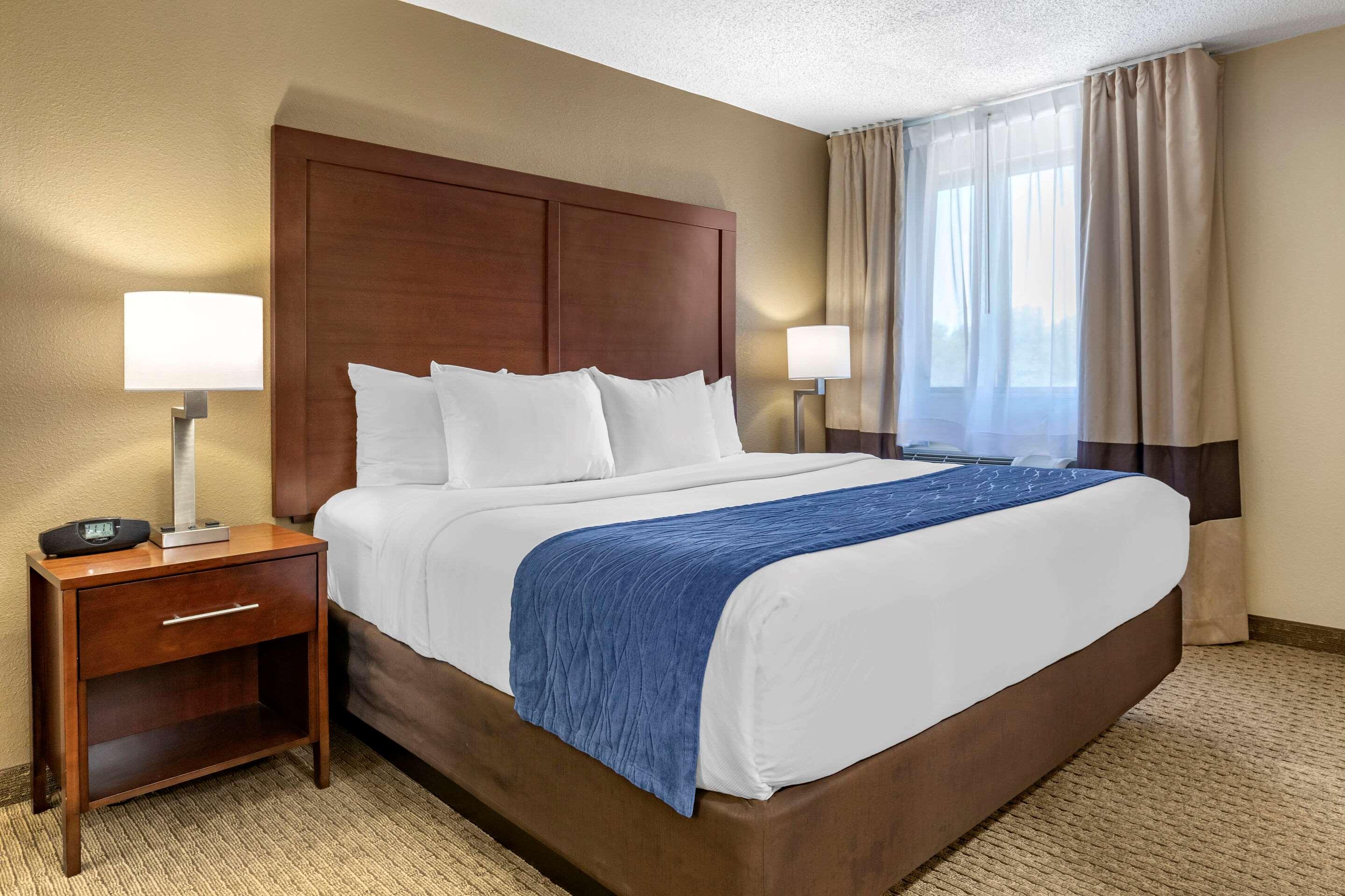 Comfort Inn Near Greenfield Village — photo 4