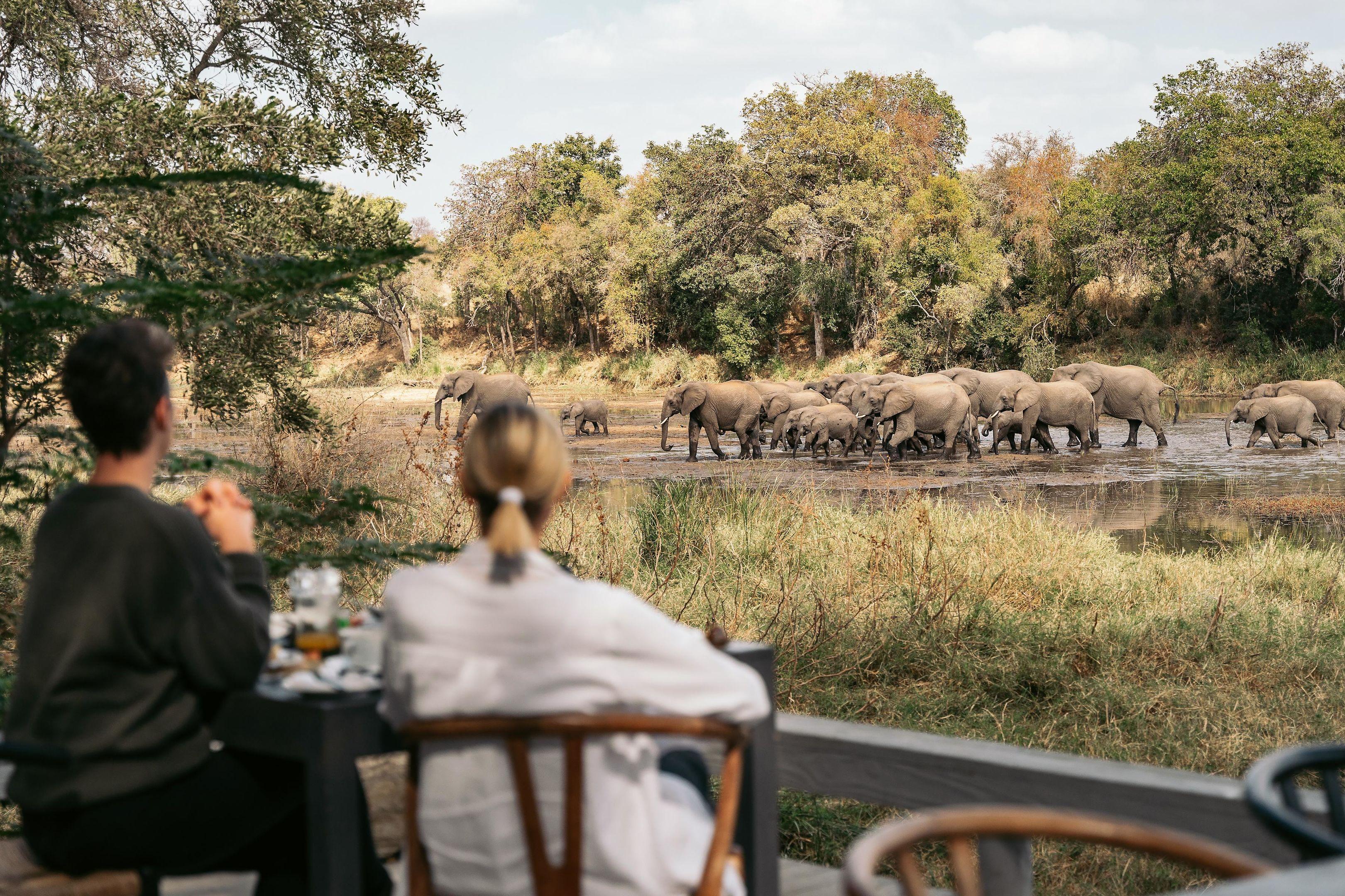 Simbavati River Lodge — photo 1