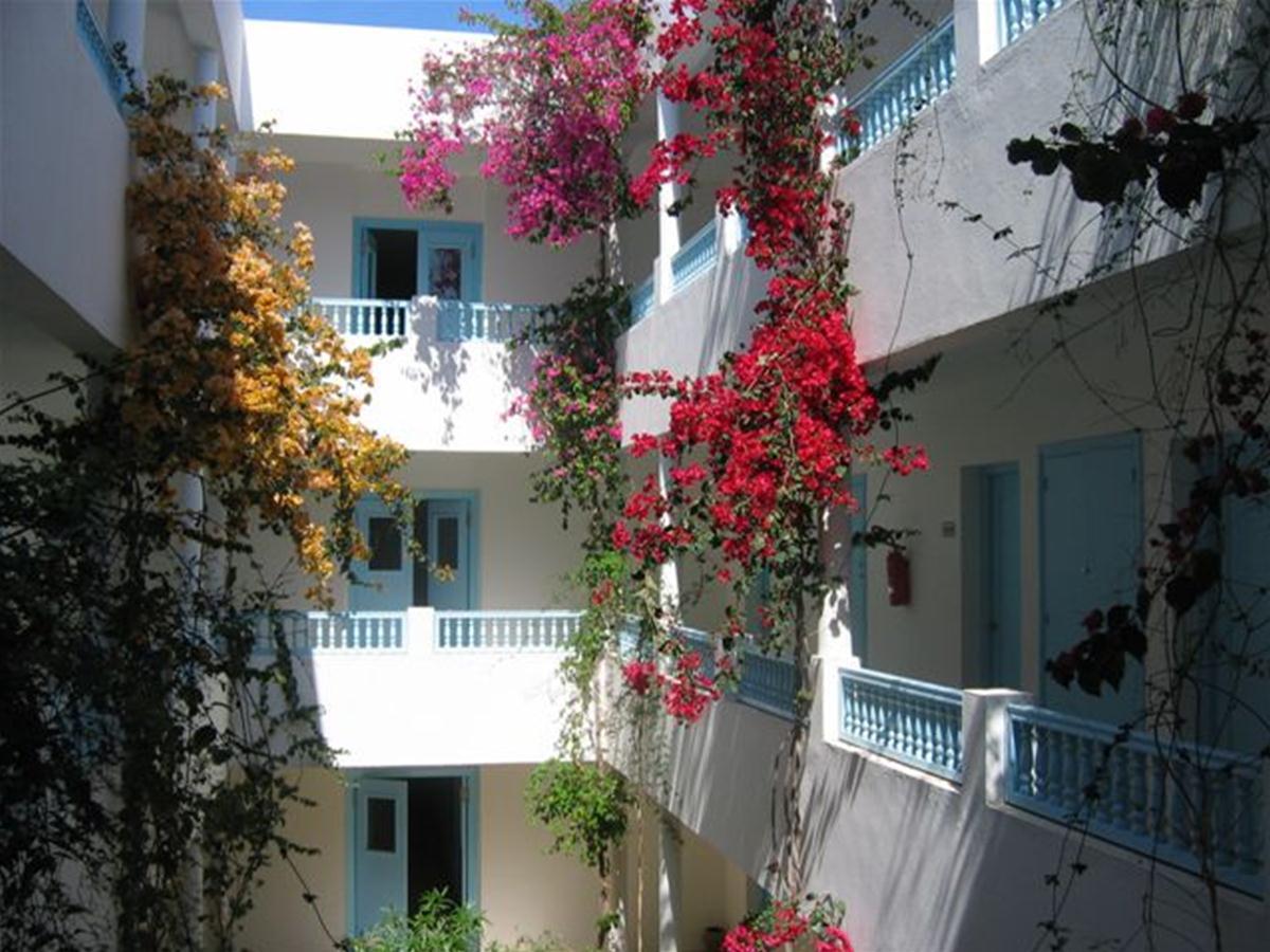 Djerba Les Dunes — photo 4