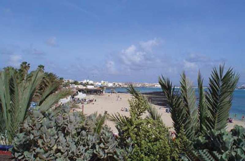 TAO Caleta Playa — photo 4