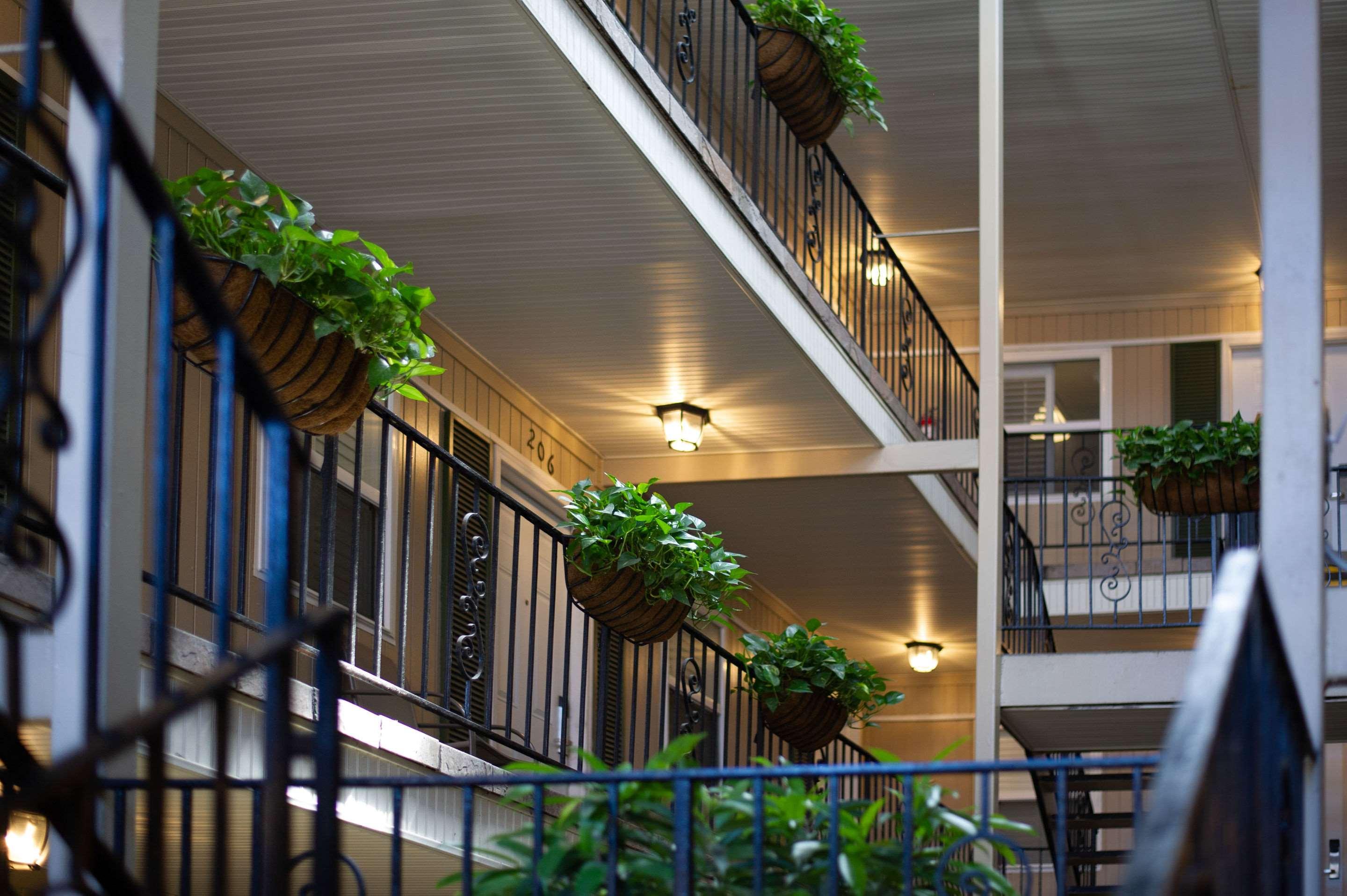 Frenchmen Orleans at 519, Ascend Hotel Collection — photo 4