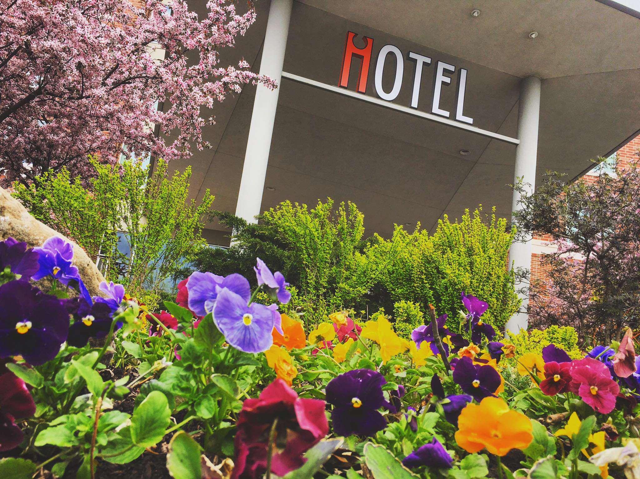 I Hotel & Conference Center — photo 4