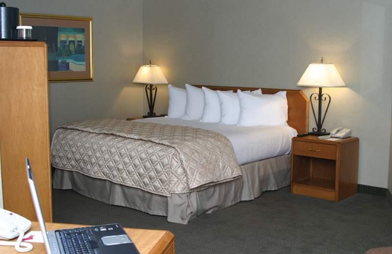 Ramada Plaza Atlanta Airport — photo 4