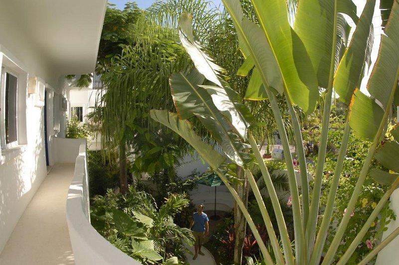 Aqualuna Hotel — photo 3
