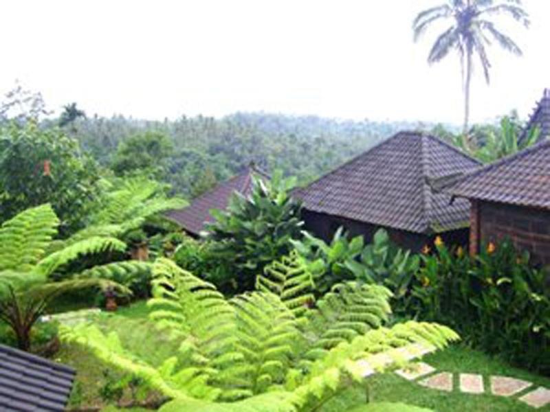 Bali Mountain Retreat — photo 5