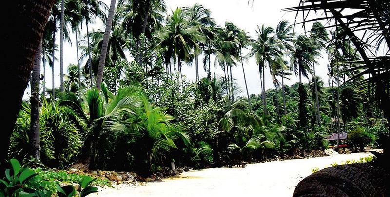 Nirvana Resort Koh Chang — photo 3