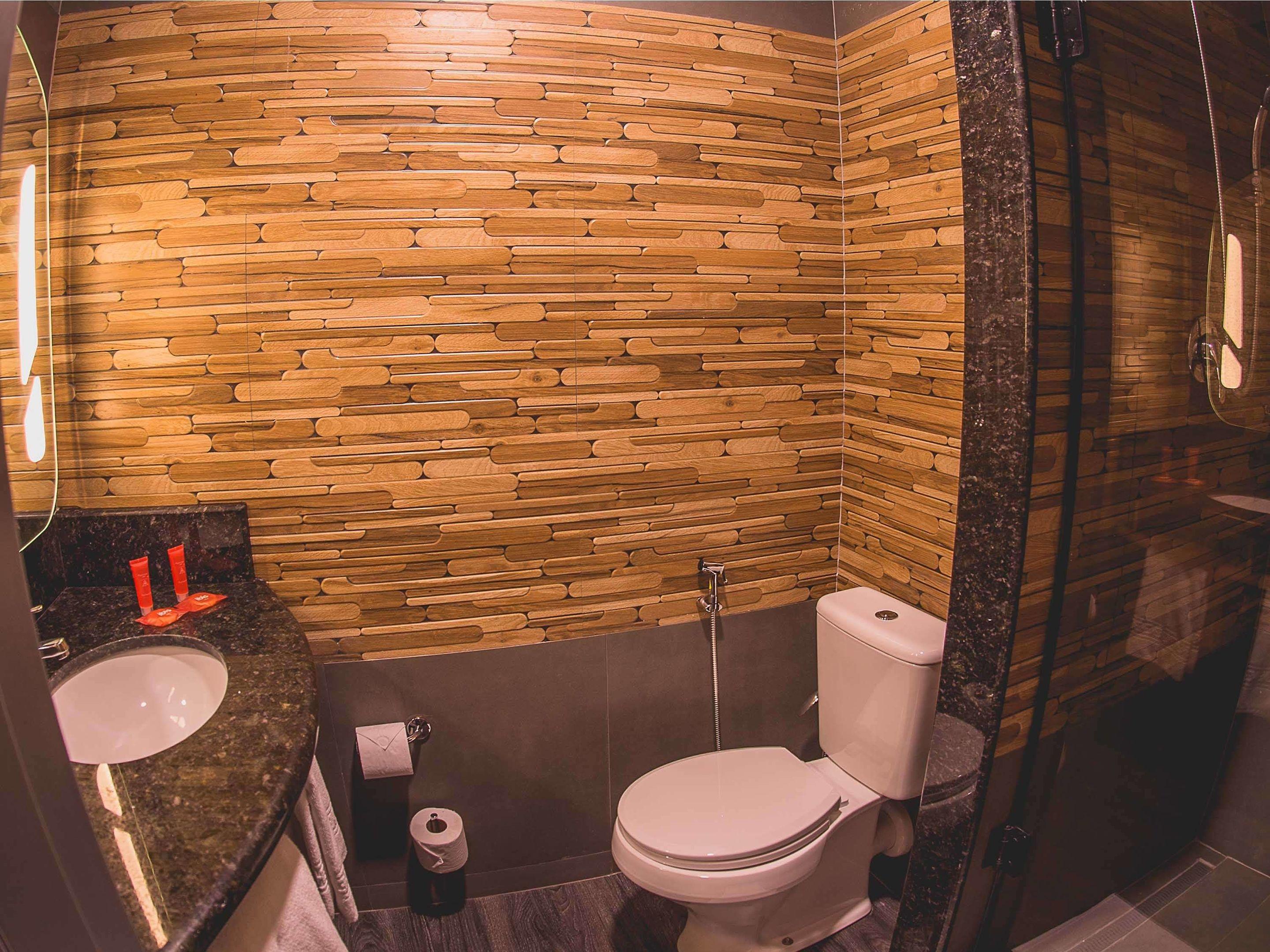 ibis Carlos Barbosa — photo 5