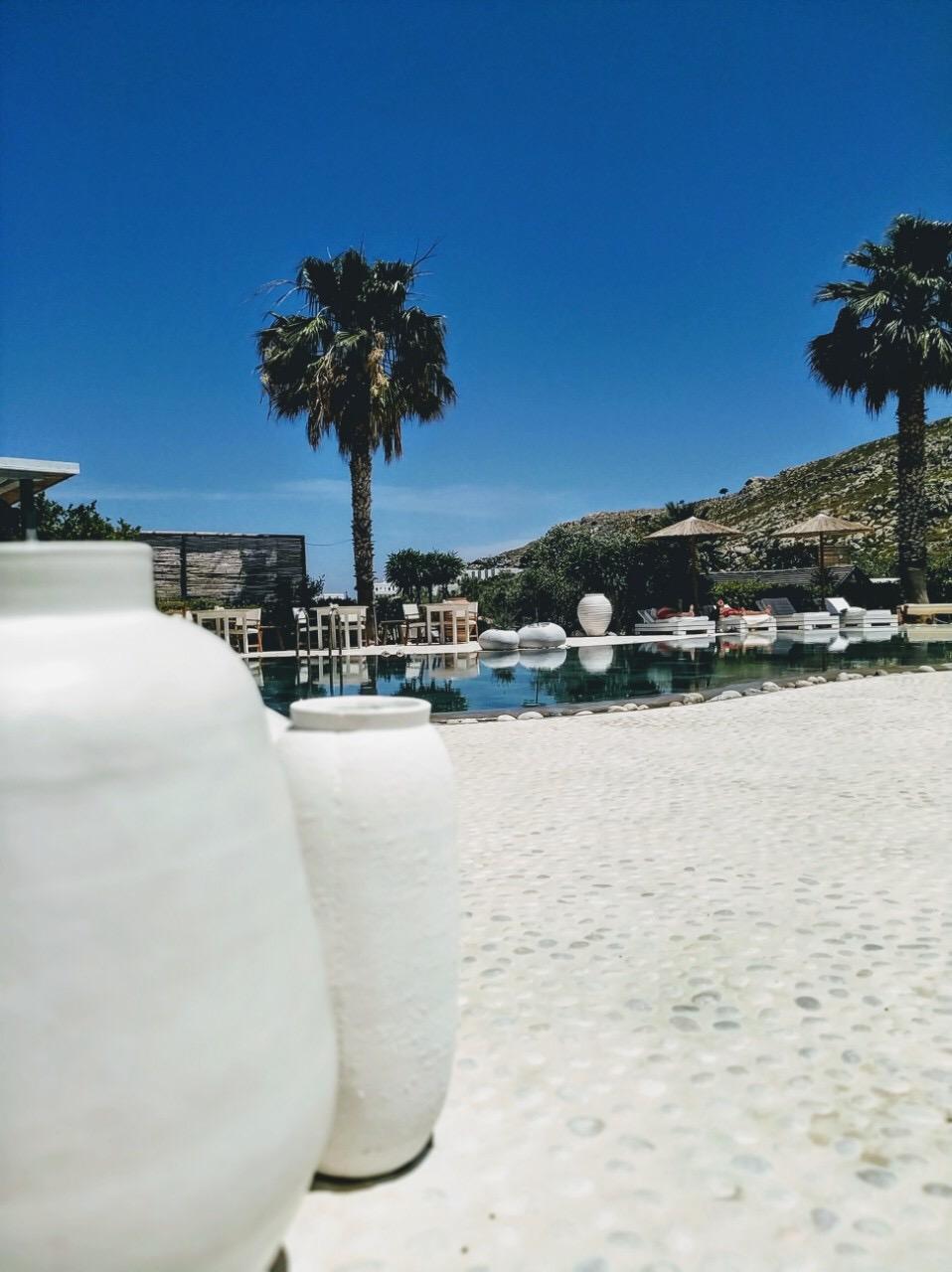 Caesars Gardens Hotel & Spa — photo 3