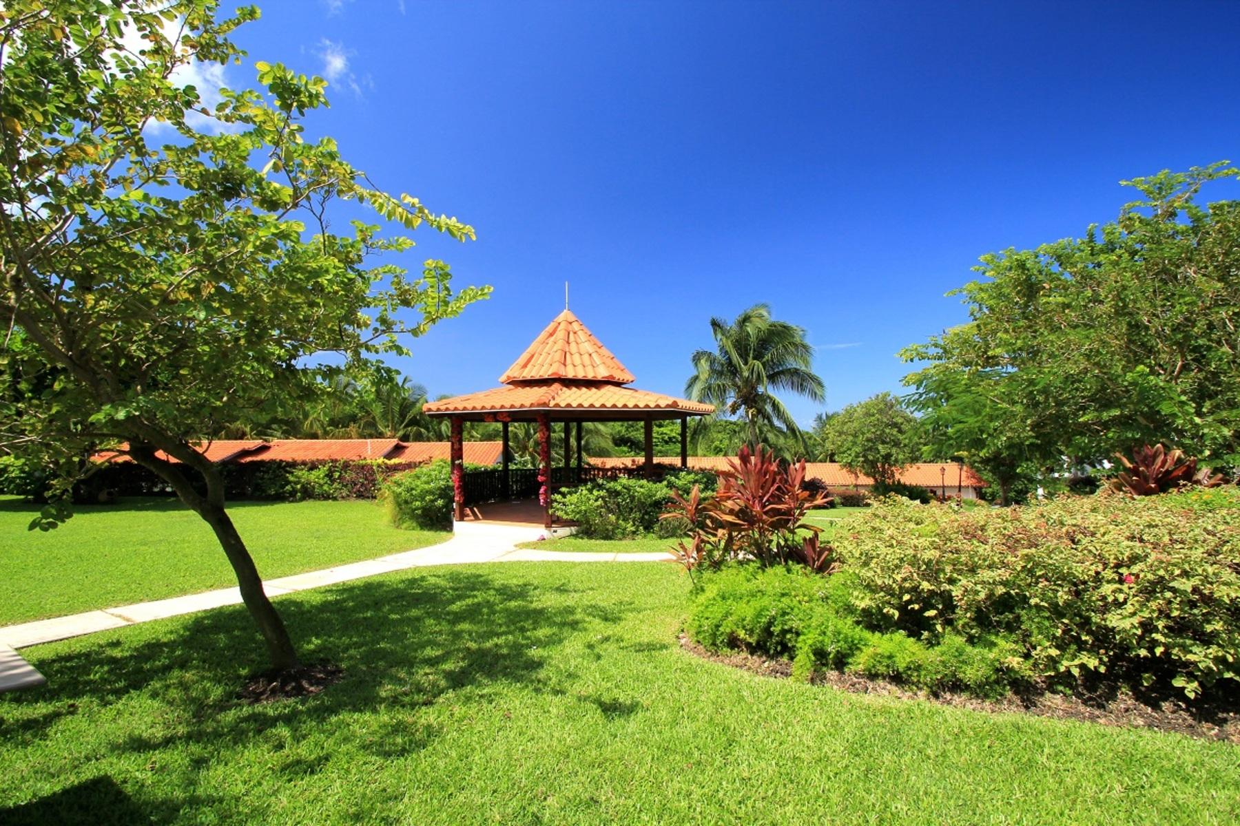 Sugar Cane Club Hotel & Spa — photo 5
