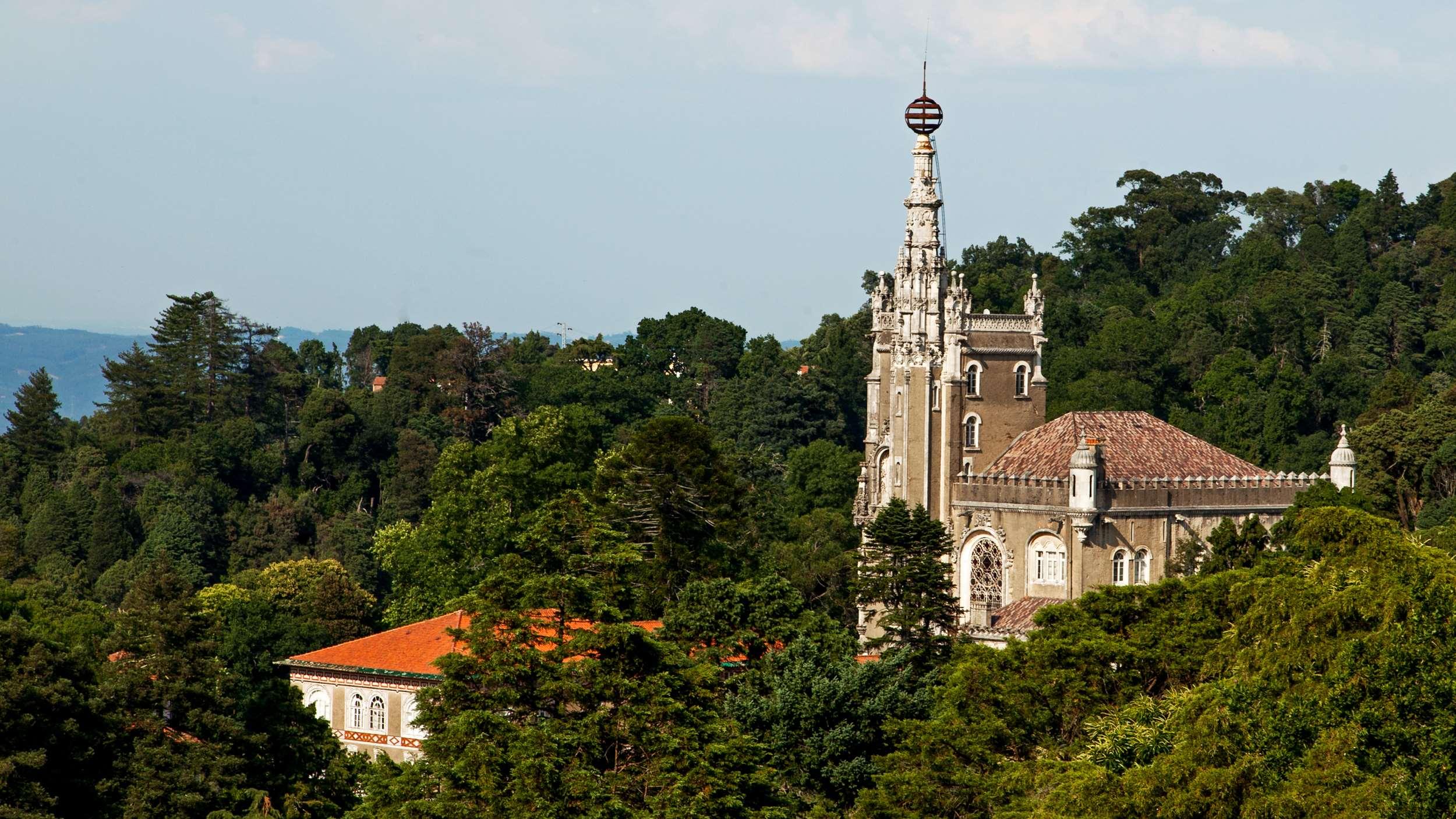 Bussaco Palace — photo 5