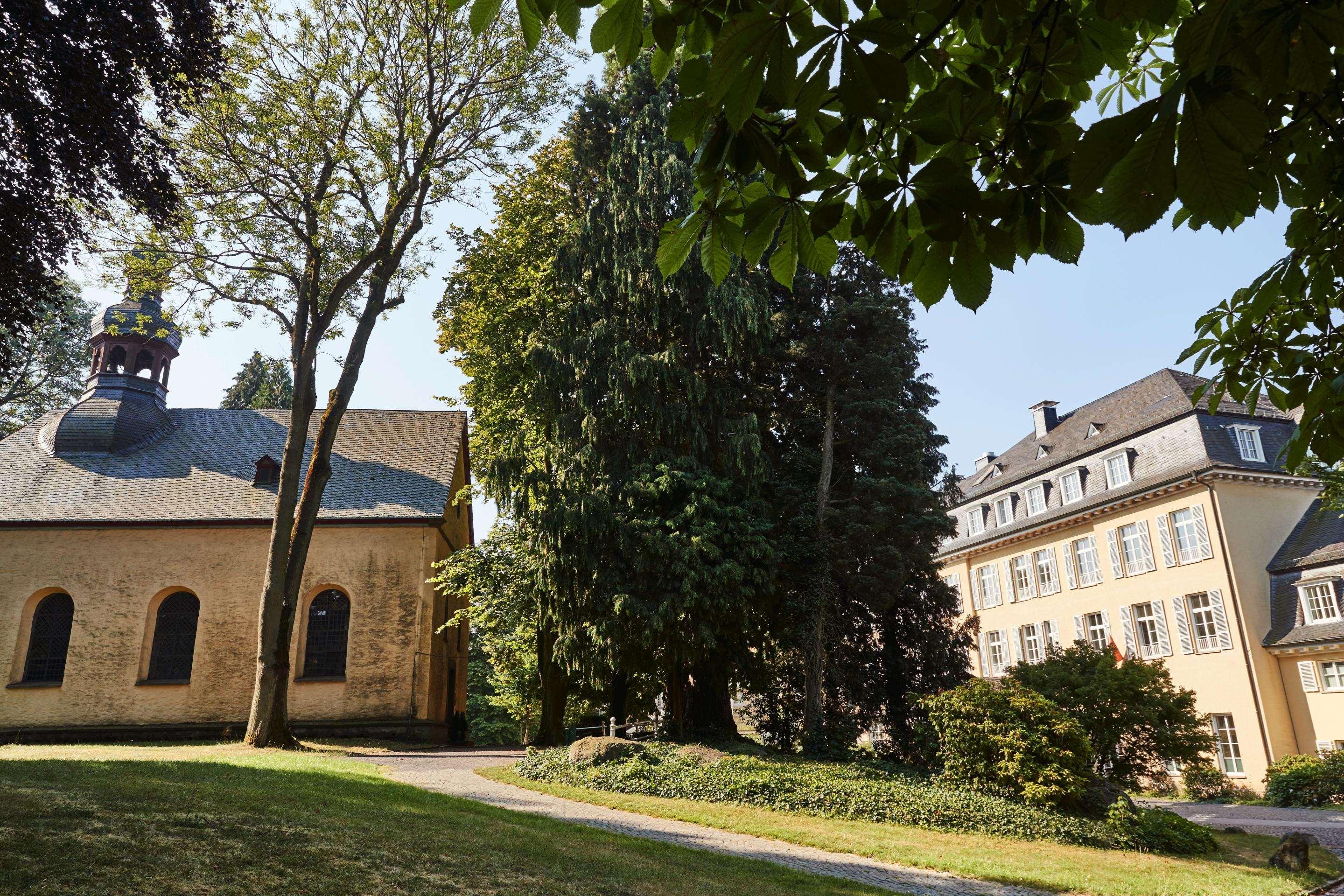 Steigenberger Grandhotel Petersberg — photo 3