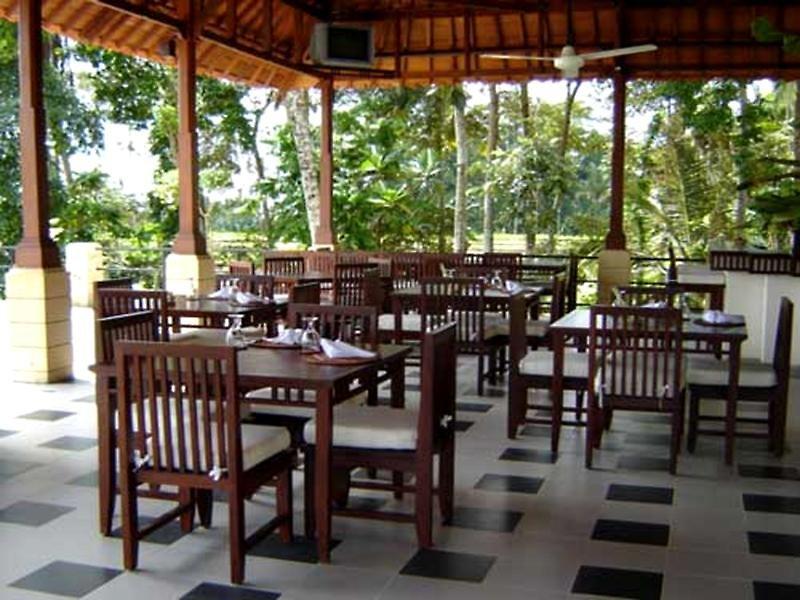Bhanuswari Resort & Spa — photo 5