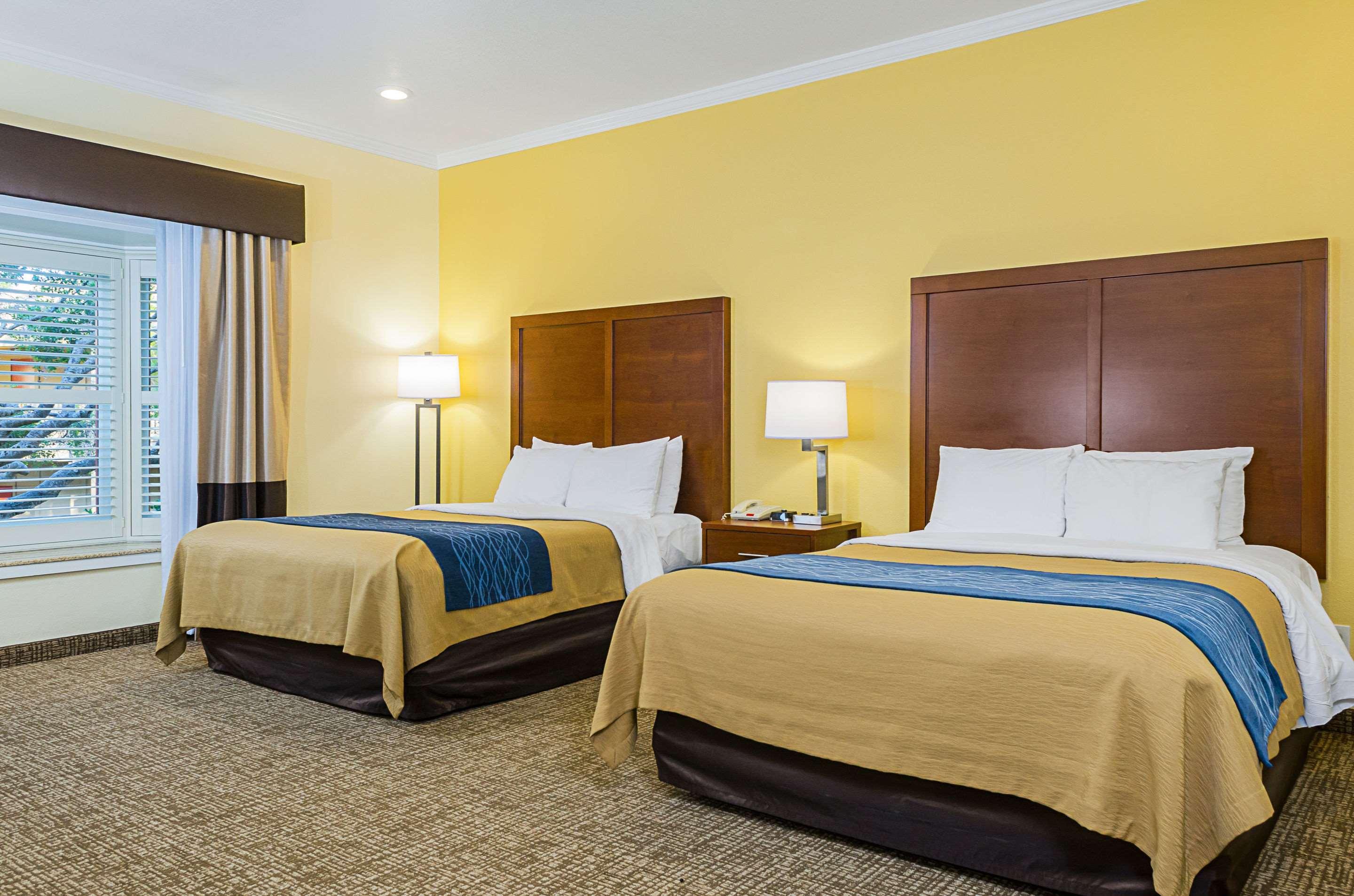 Comfort Inn Monterey Peninsula Airport — photo 4
