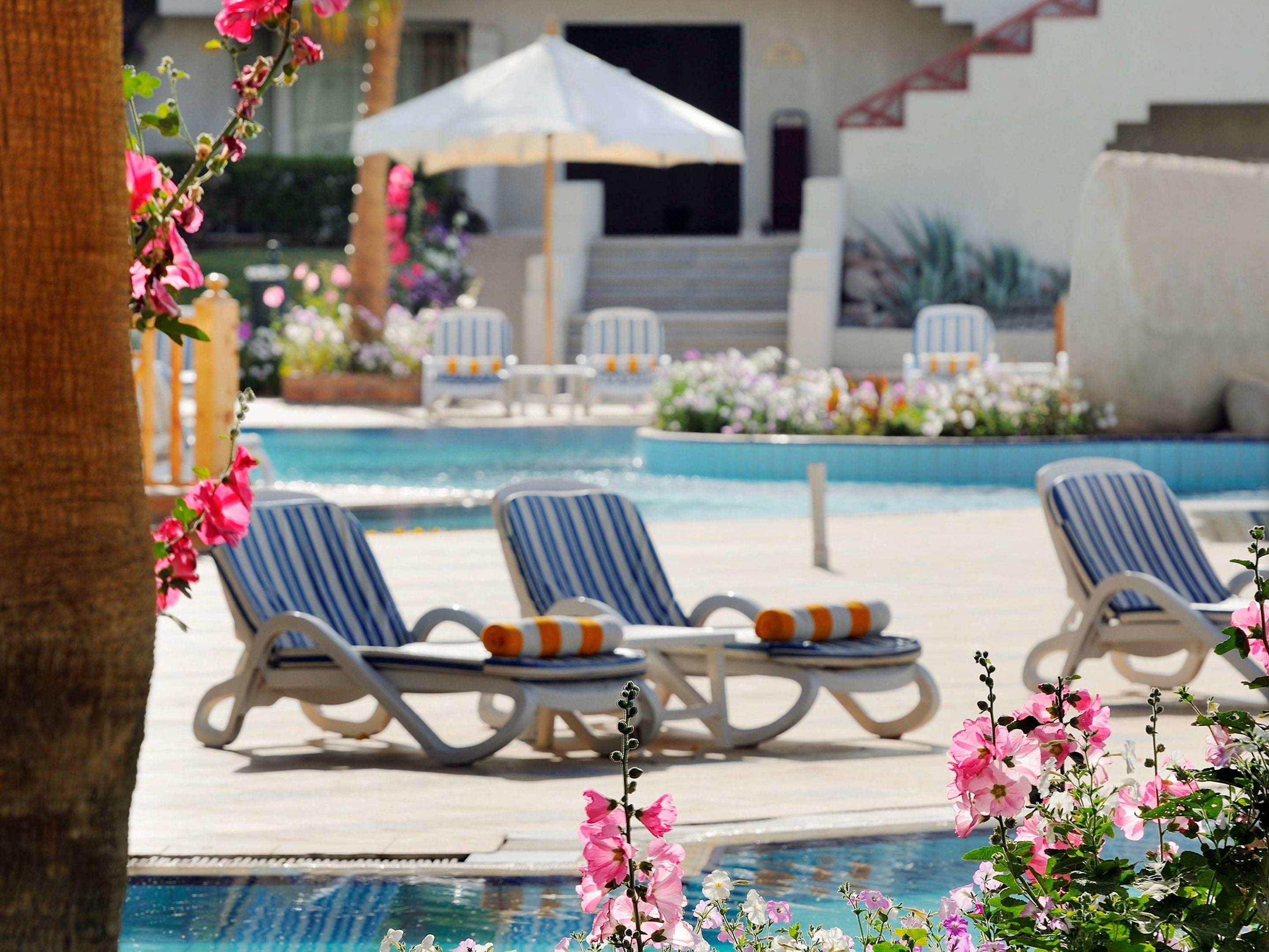 Naama Bay Promenade Beach Resort — photo 3