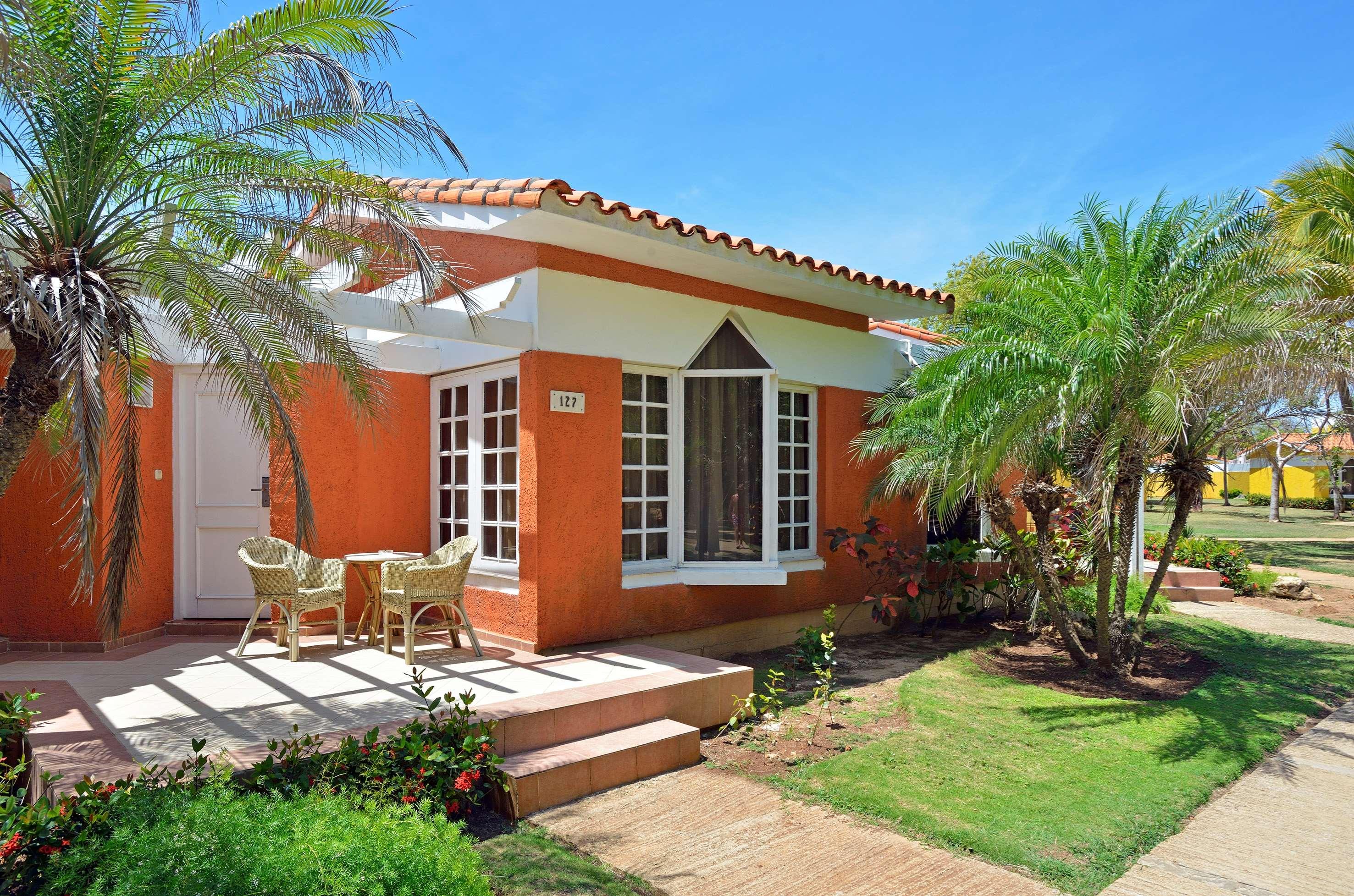 Sol Palmeras — photo 3