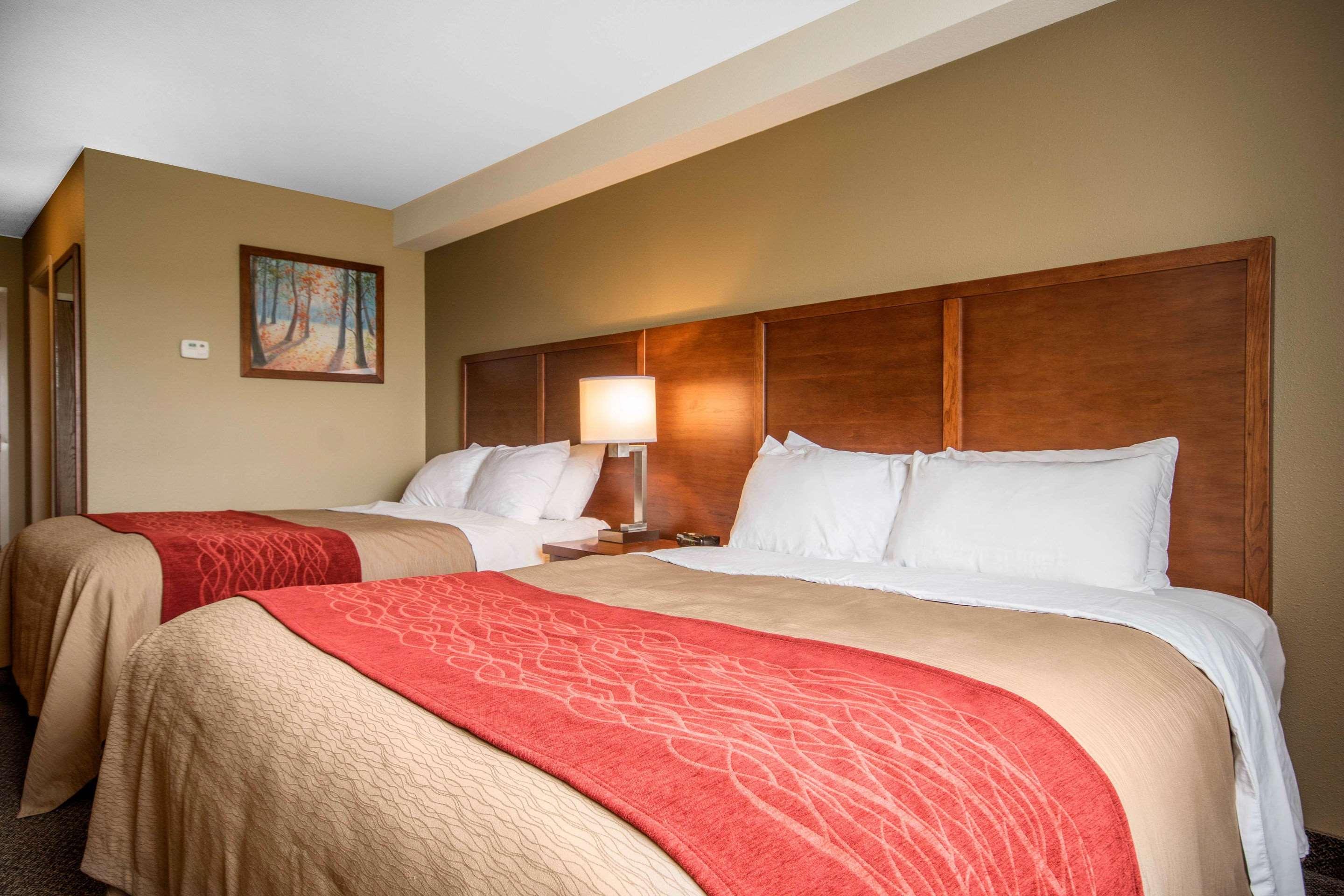 Comfort Inn & Suites — photo 4