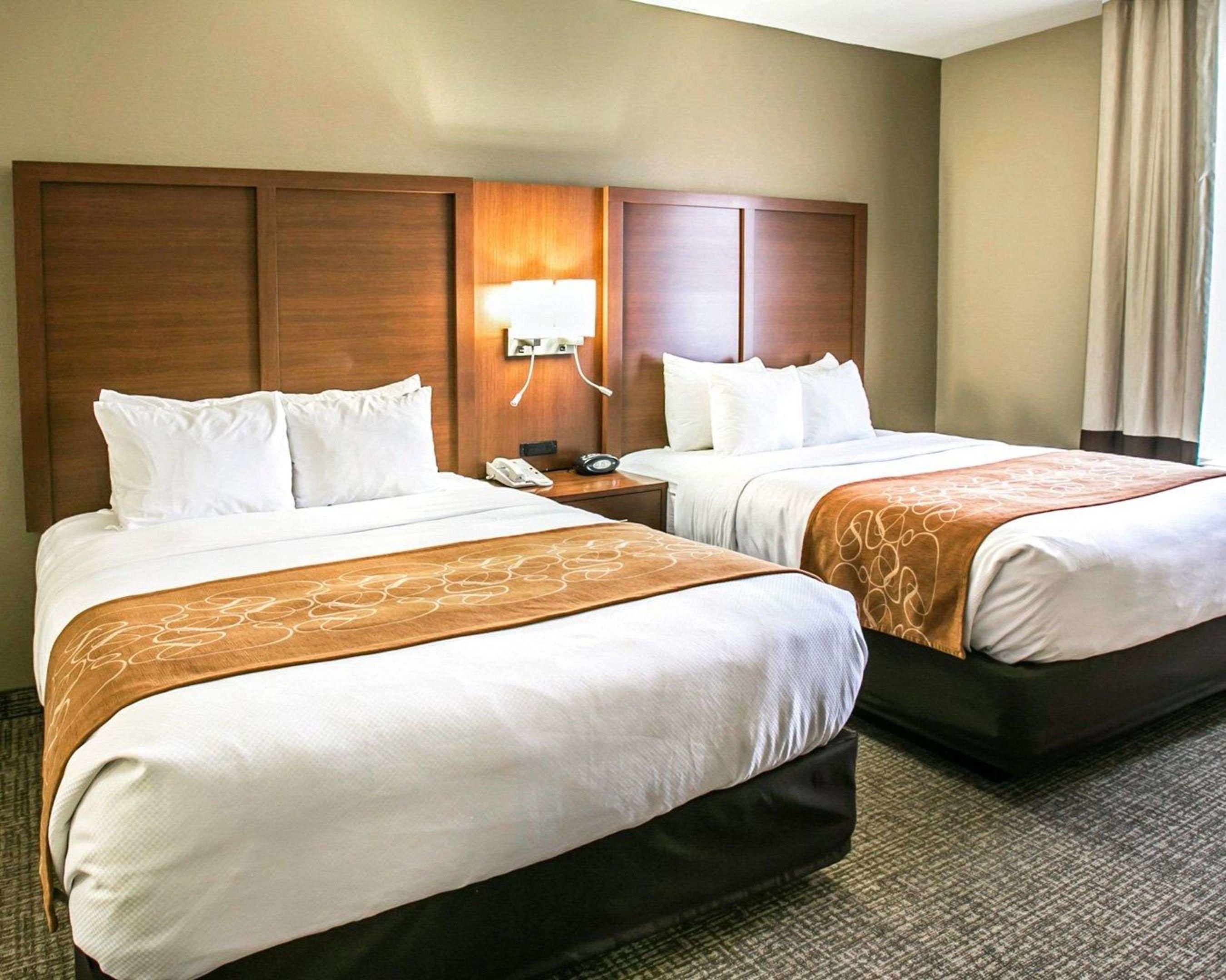 Comfort Suites Willowbrook — photo 4