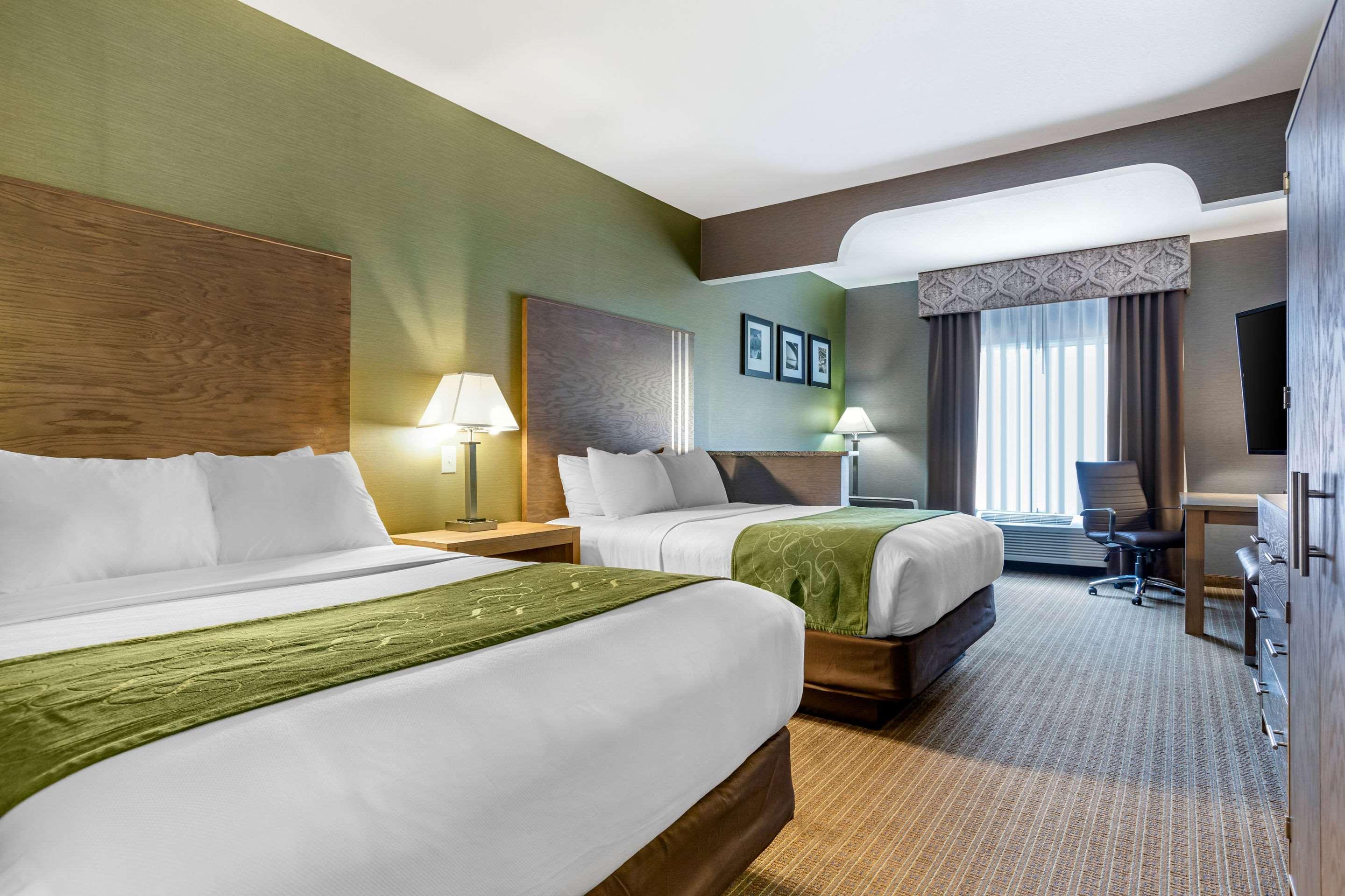 Comfort Suites Southgate — photo 5