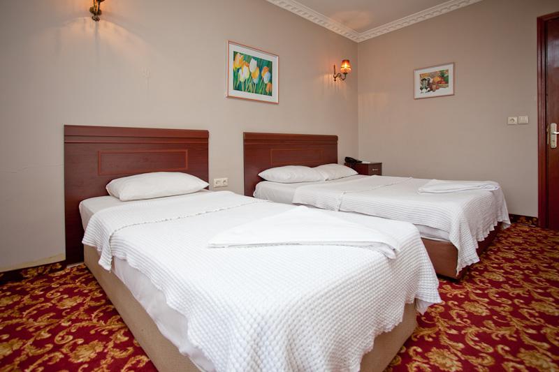 Golden Palace Hotel — photo 4