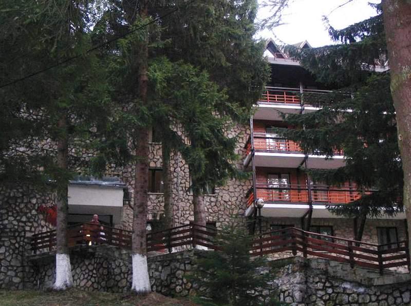ANA Hotels Bradul — photo 3