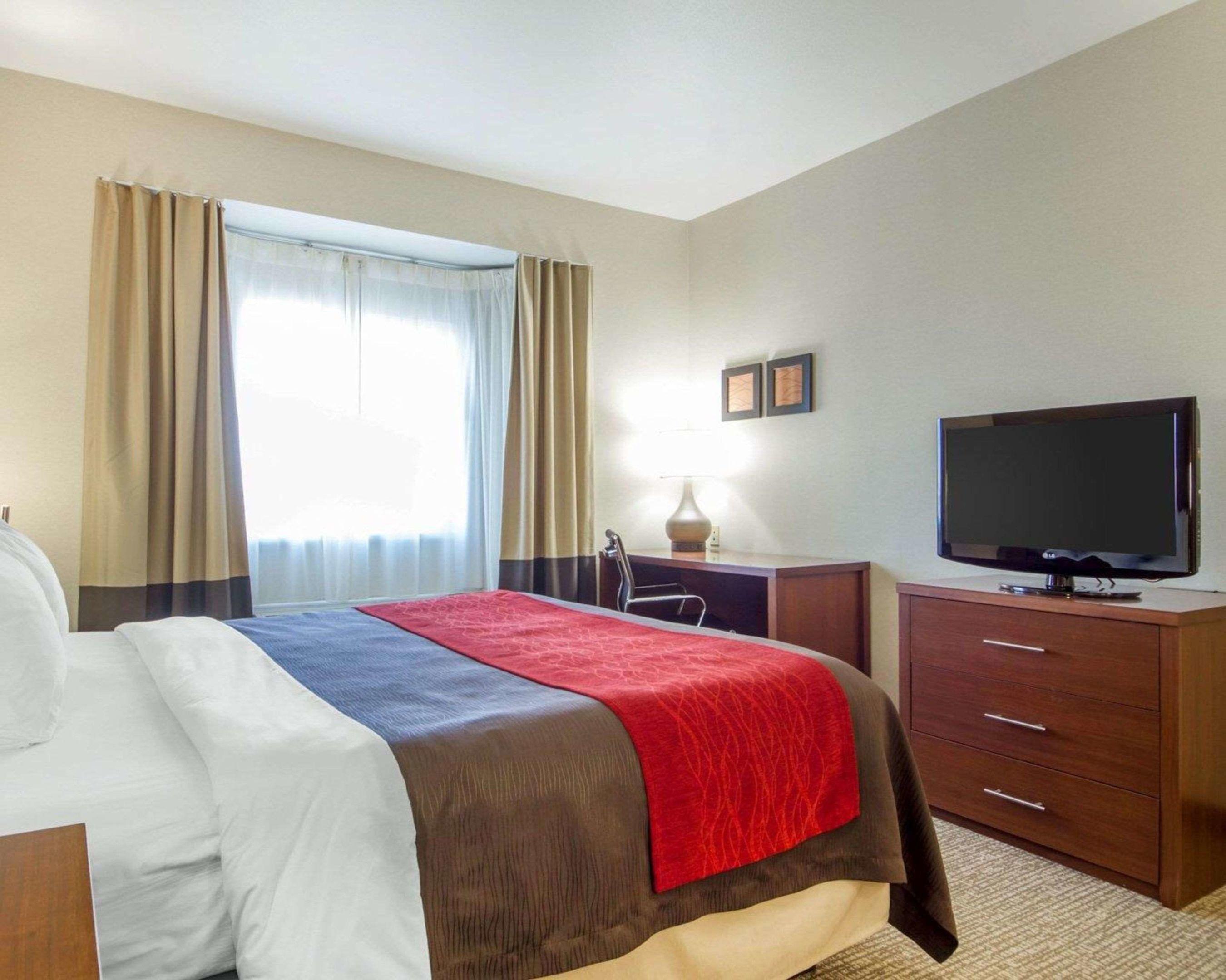 Comfort Inn & Suites — photo 4