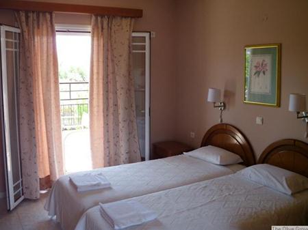 Olive Grove Studios & Apartments — photo 5
