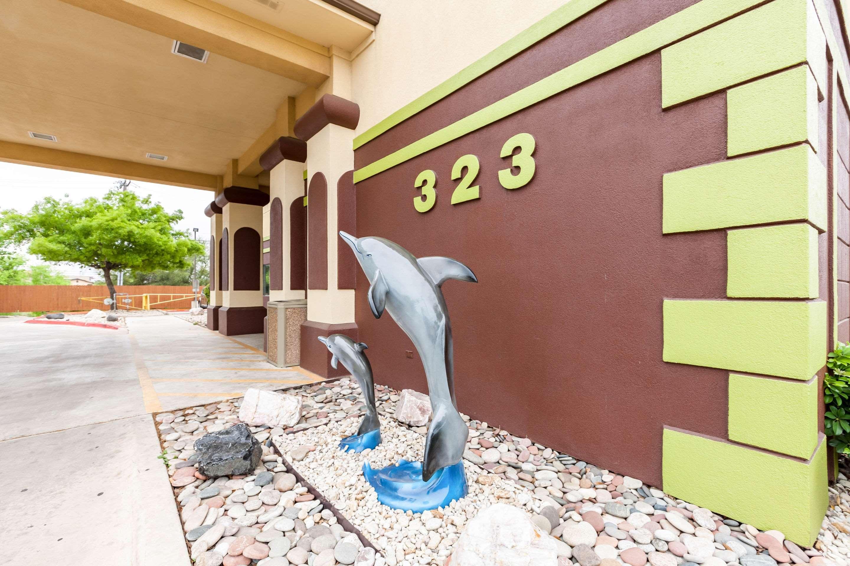 Quality Inn Near Seaworld — photo 4