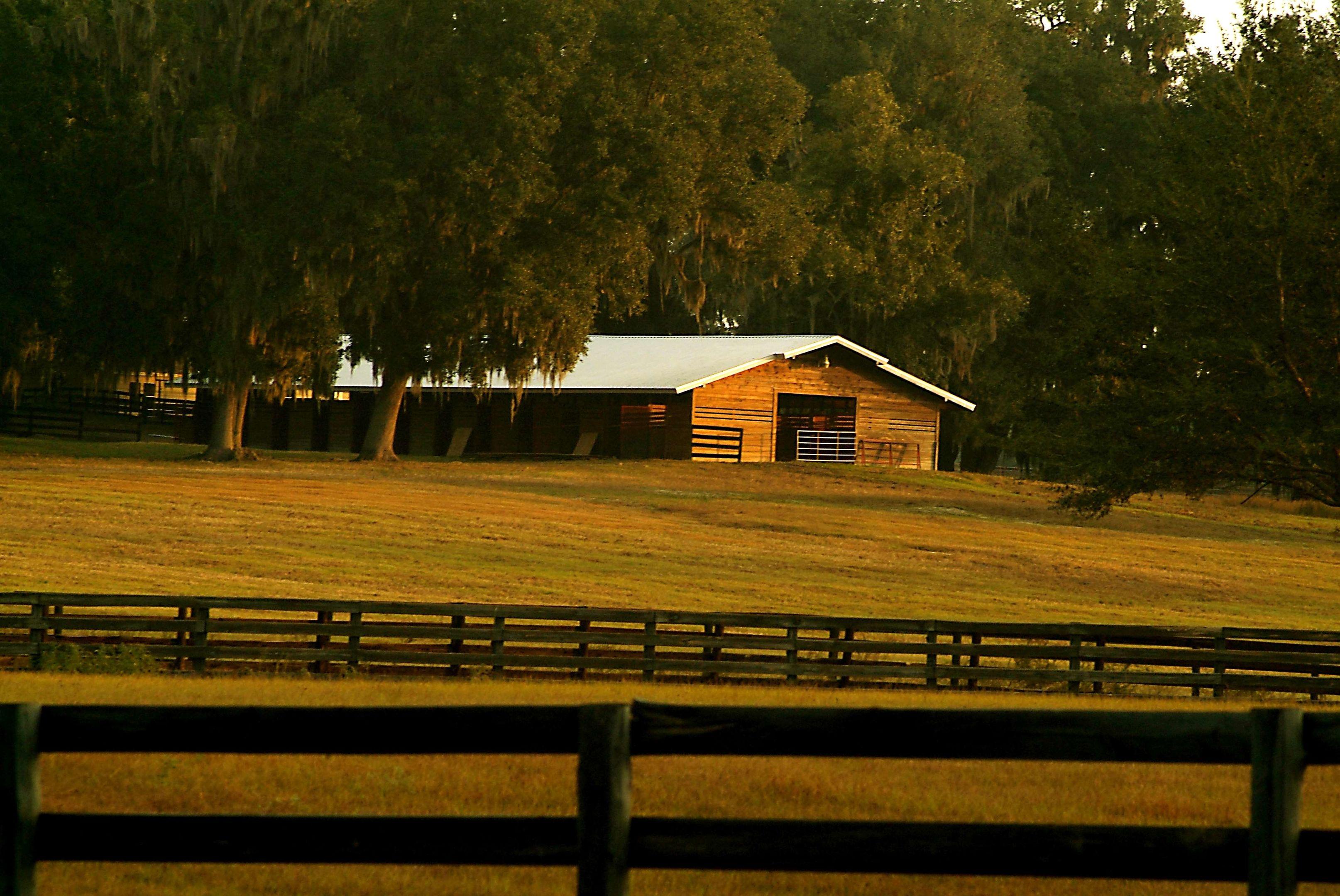 Best Western Ocala Park Centre — photo 3