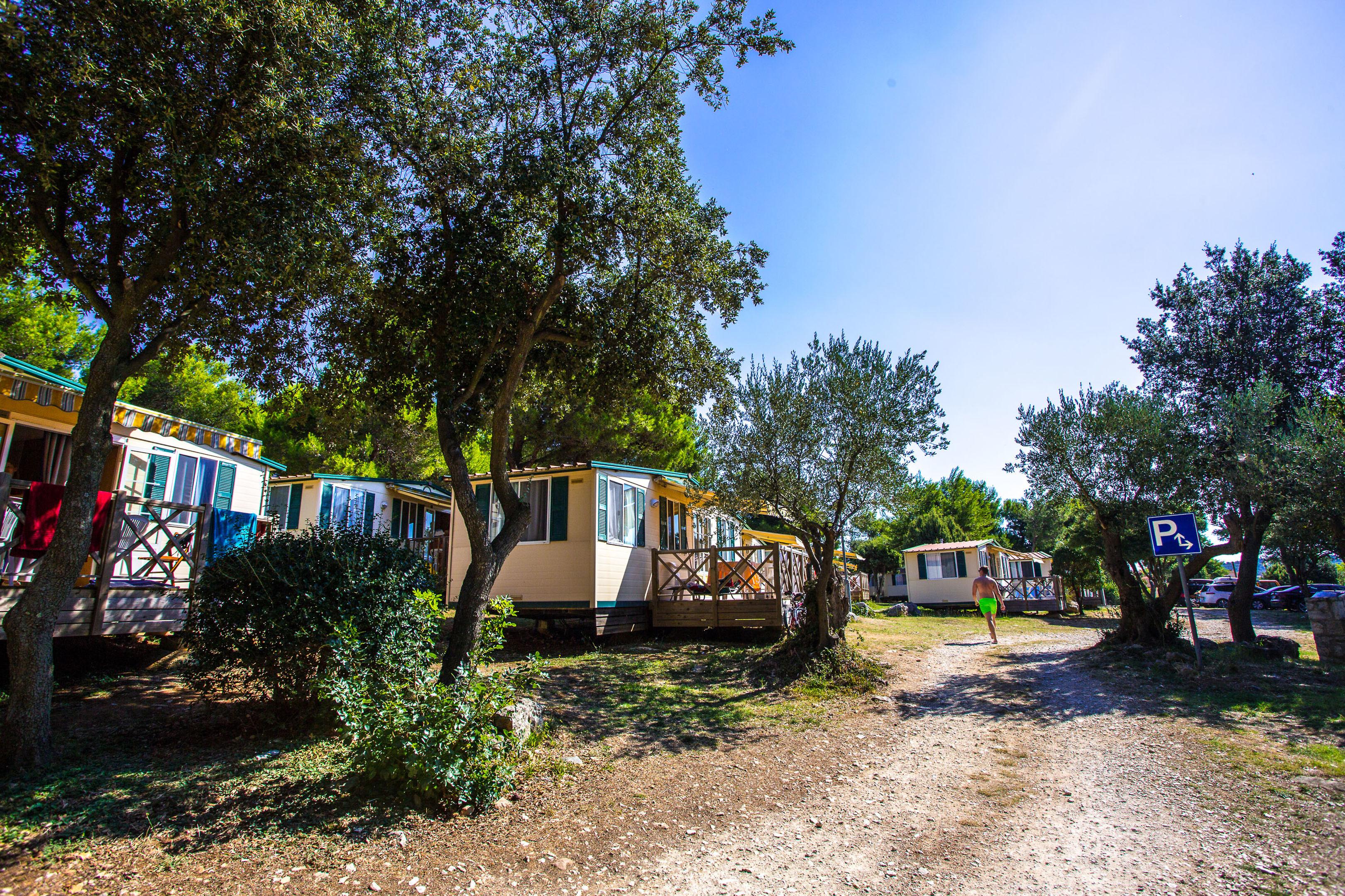 Arena Indije Campsite — photo 5