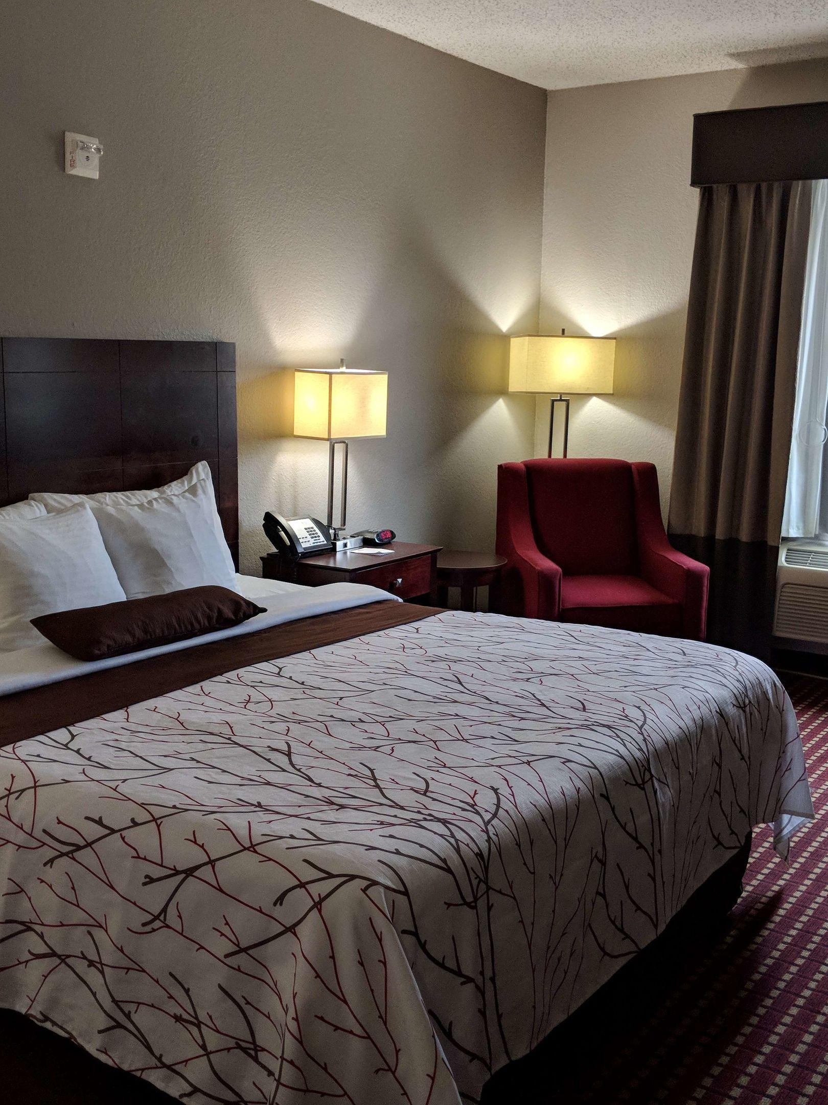 Best Western Plus University Inn & Suites — photo 5