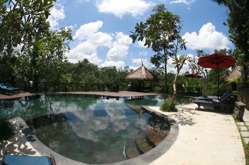 Nandini Bali Jungle Resort & Spa — photo 3