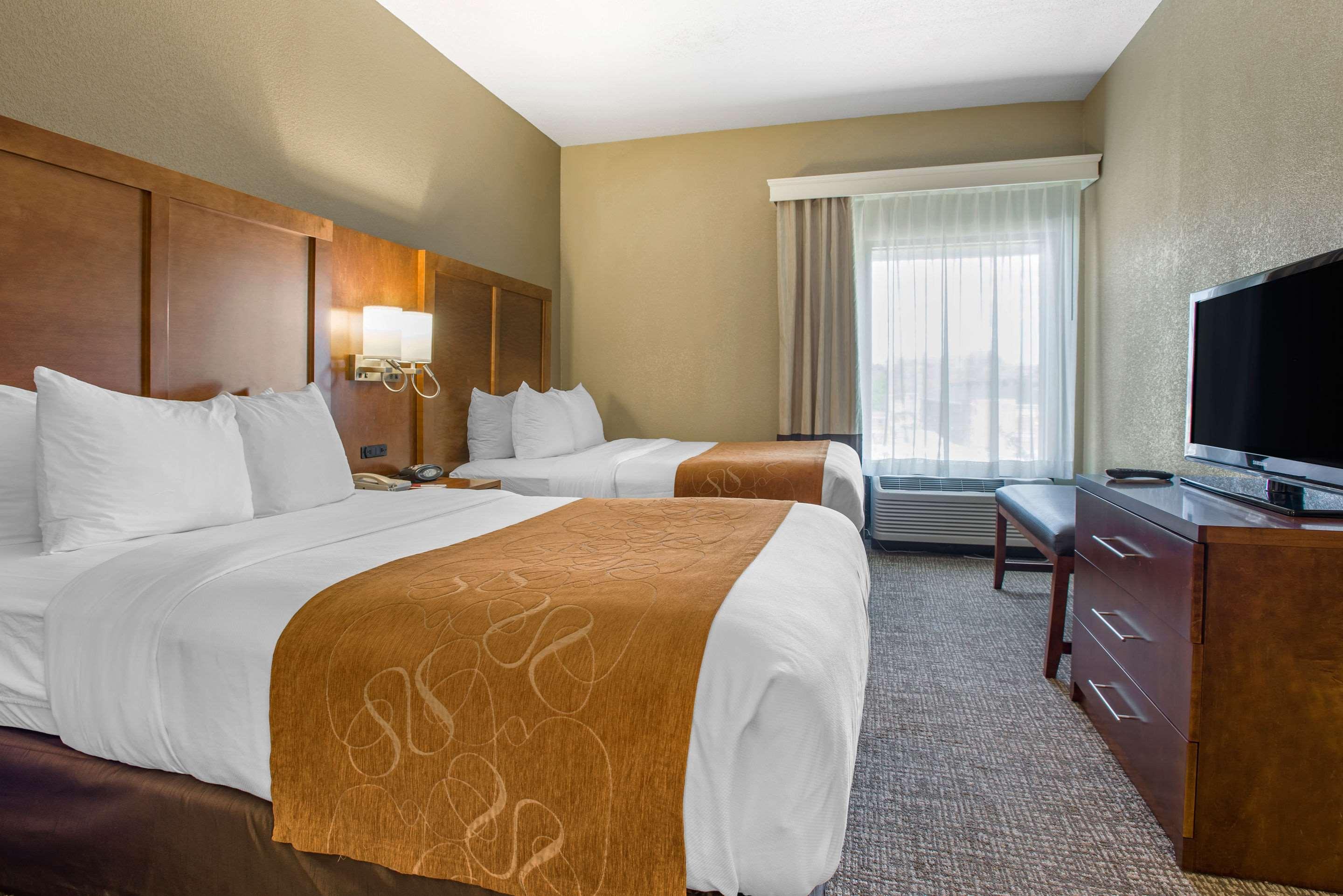 Comfort Suites University — photo 4