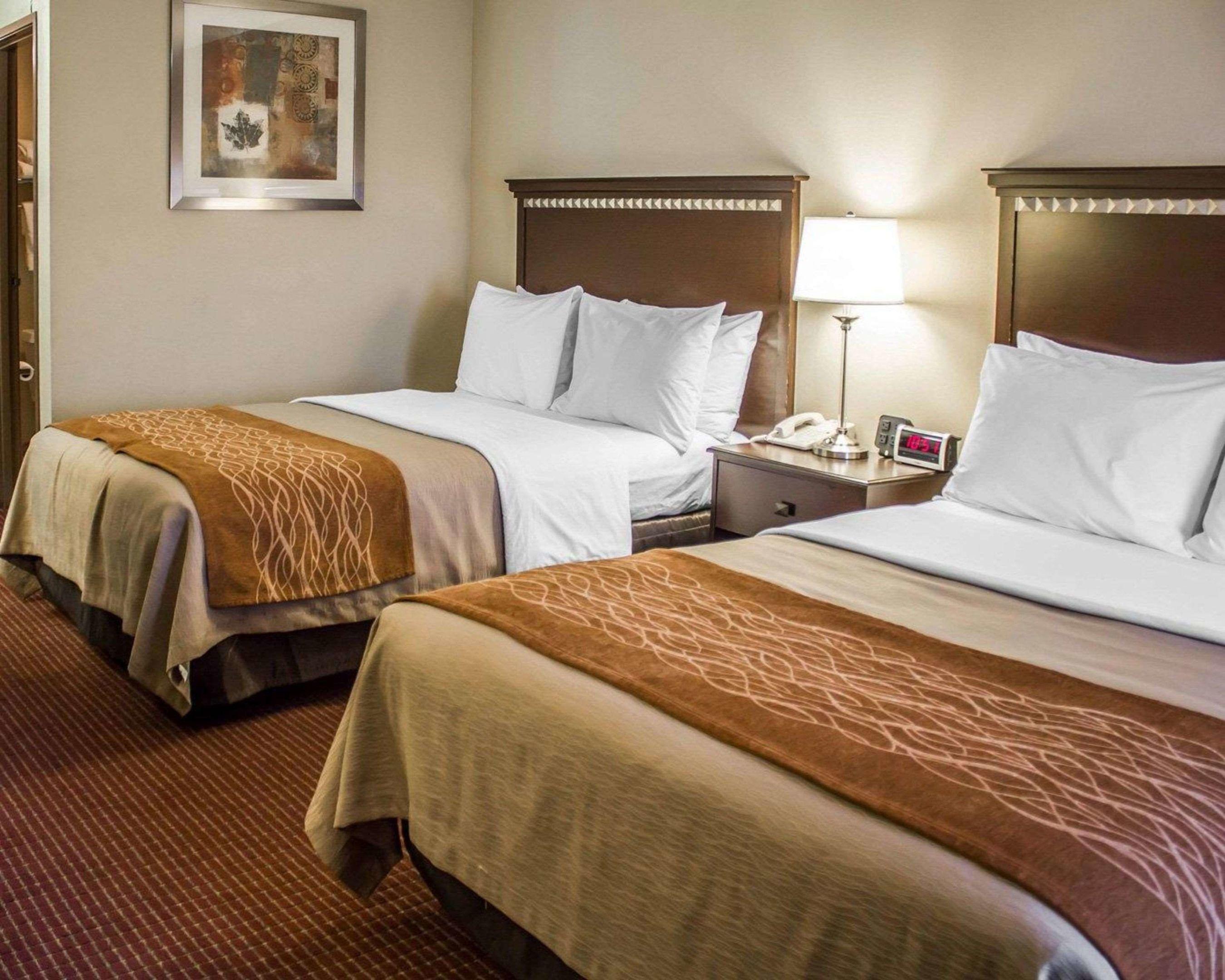 Comfort Inn — photo 5