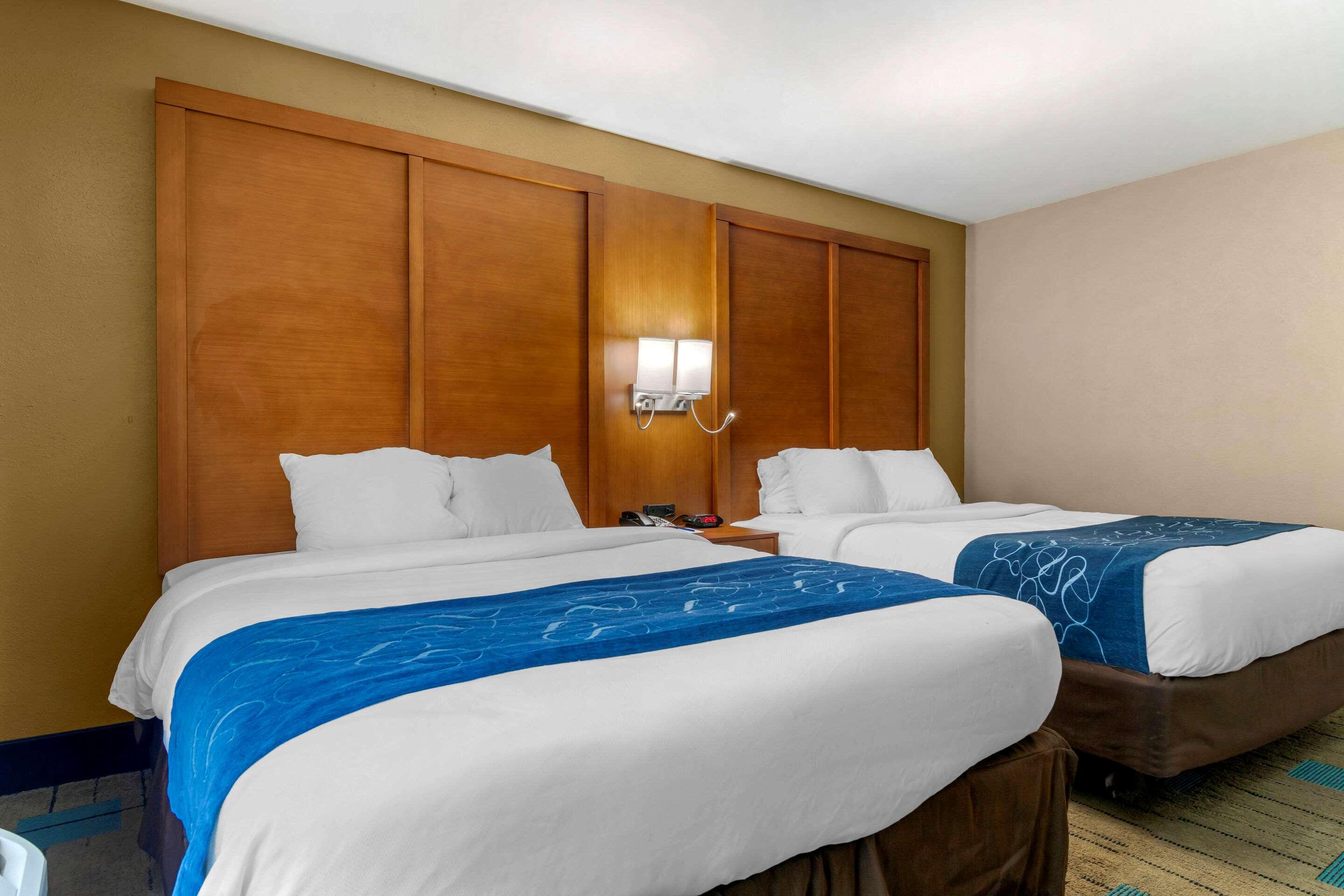 Comfort Suites Beaufort — photo 4