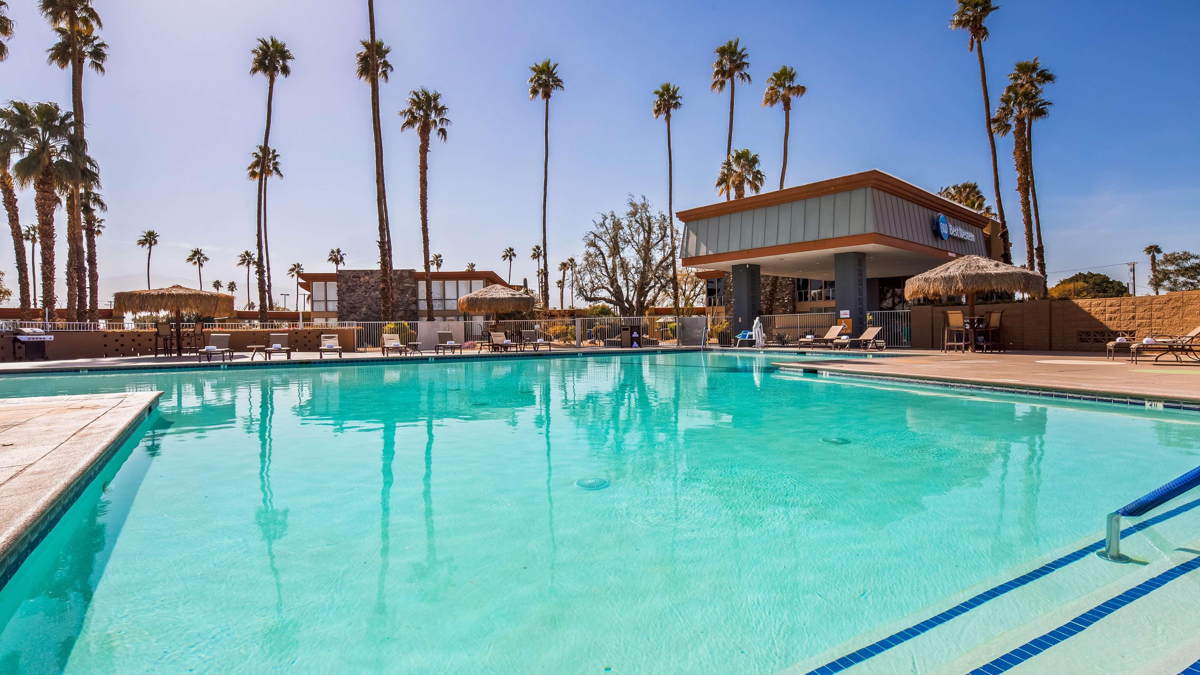 Best Western Date Tree Hotel — photo 3