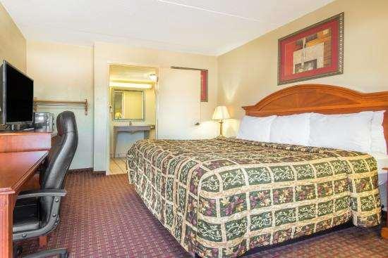 The Oasis Hotel — photo 4