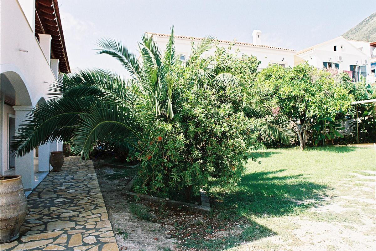 Konstantinos — photo 5