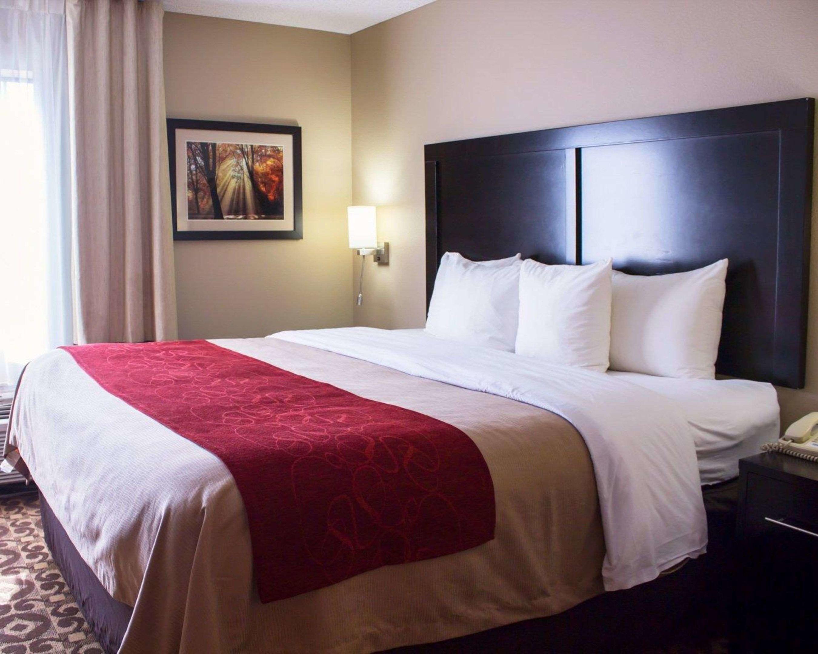 Comfort Inn & Suites Trussville I-59 Exit 141 — photo 3