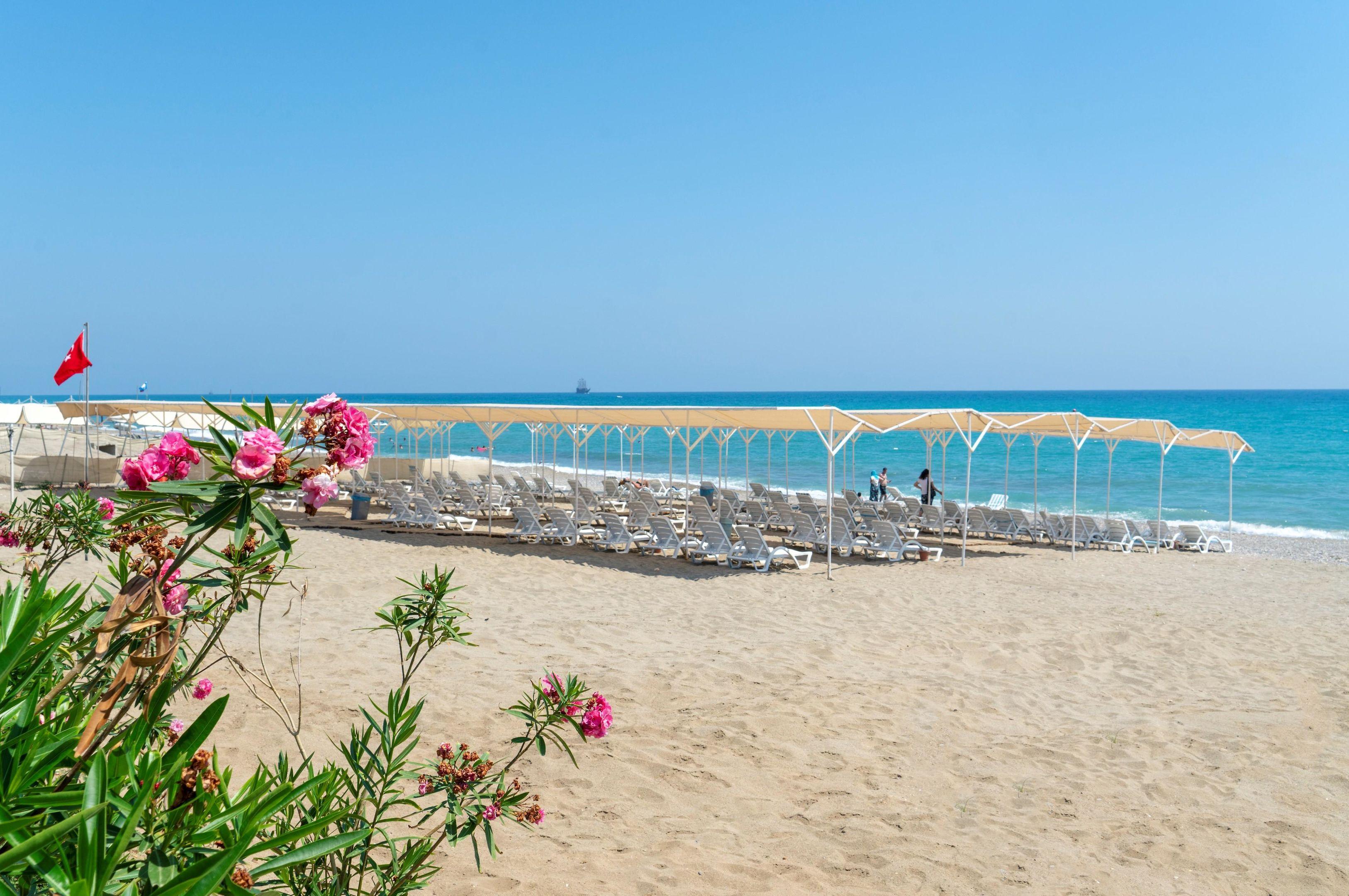 Atlas Beach Hotel & Spa — photo 4