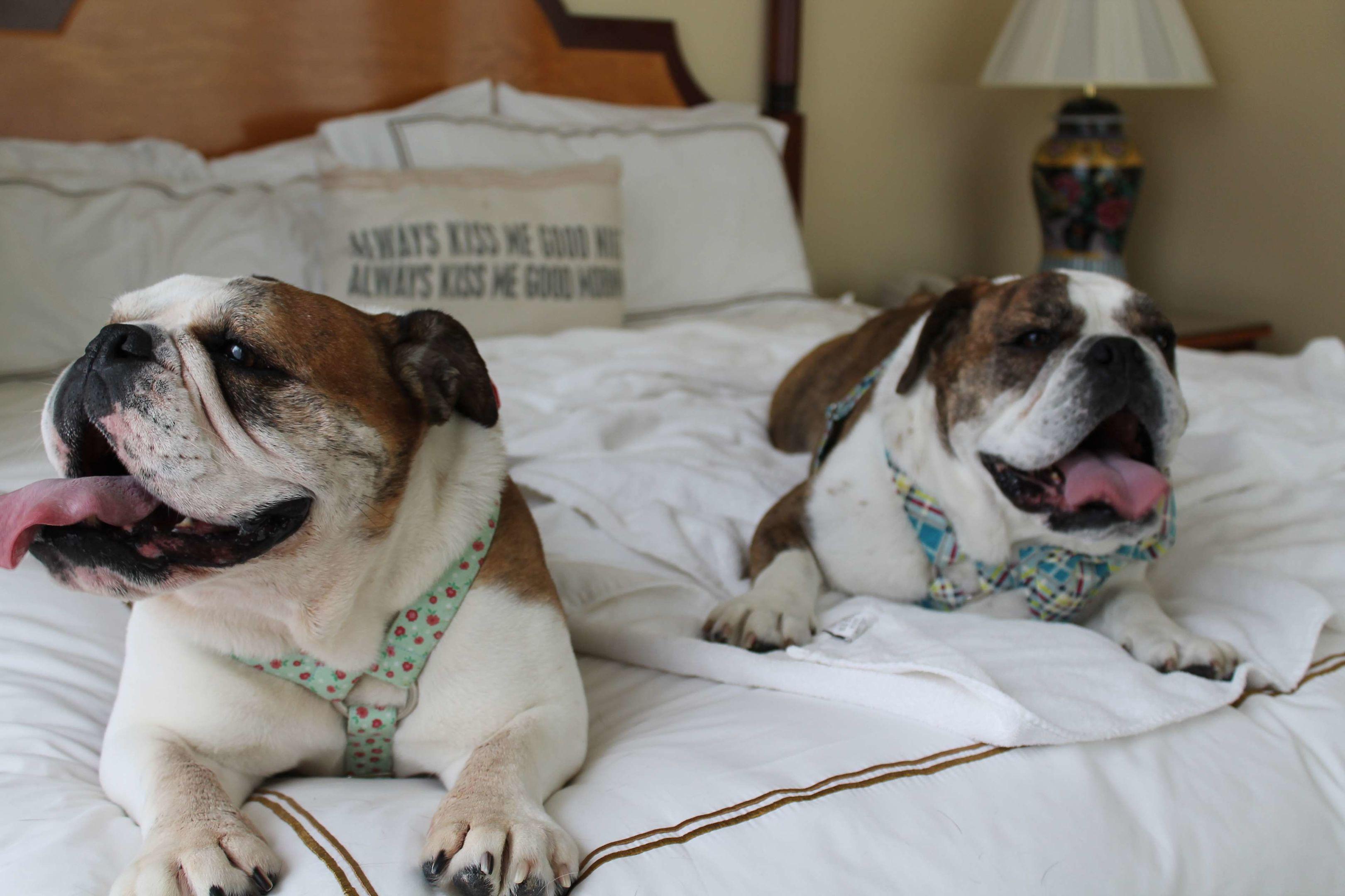 Hotel Providence — photo 3