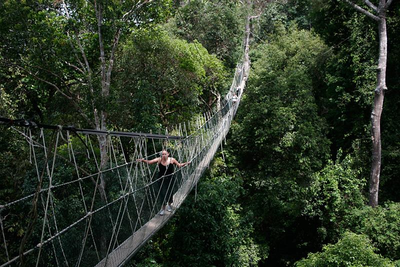 Mutiara Taman Negara — photo 4